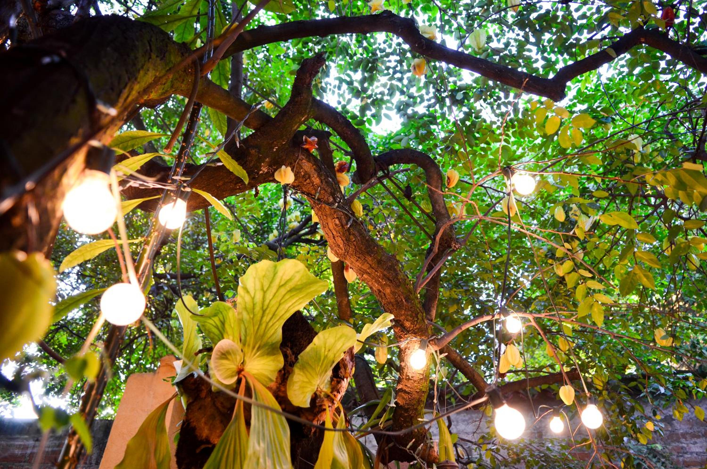 Magic Garden House