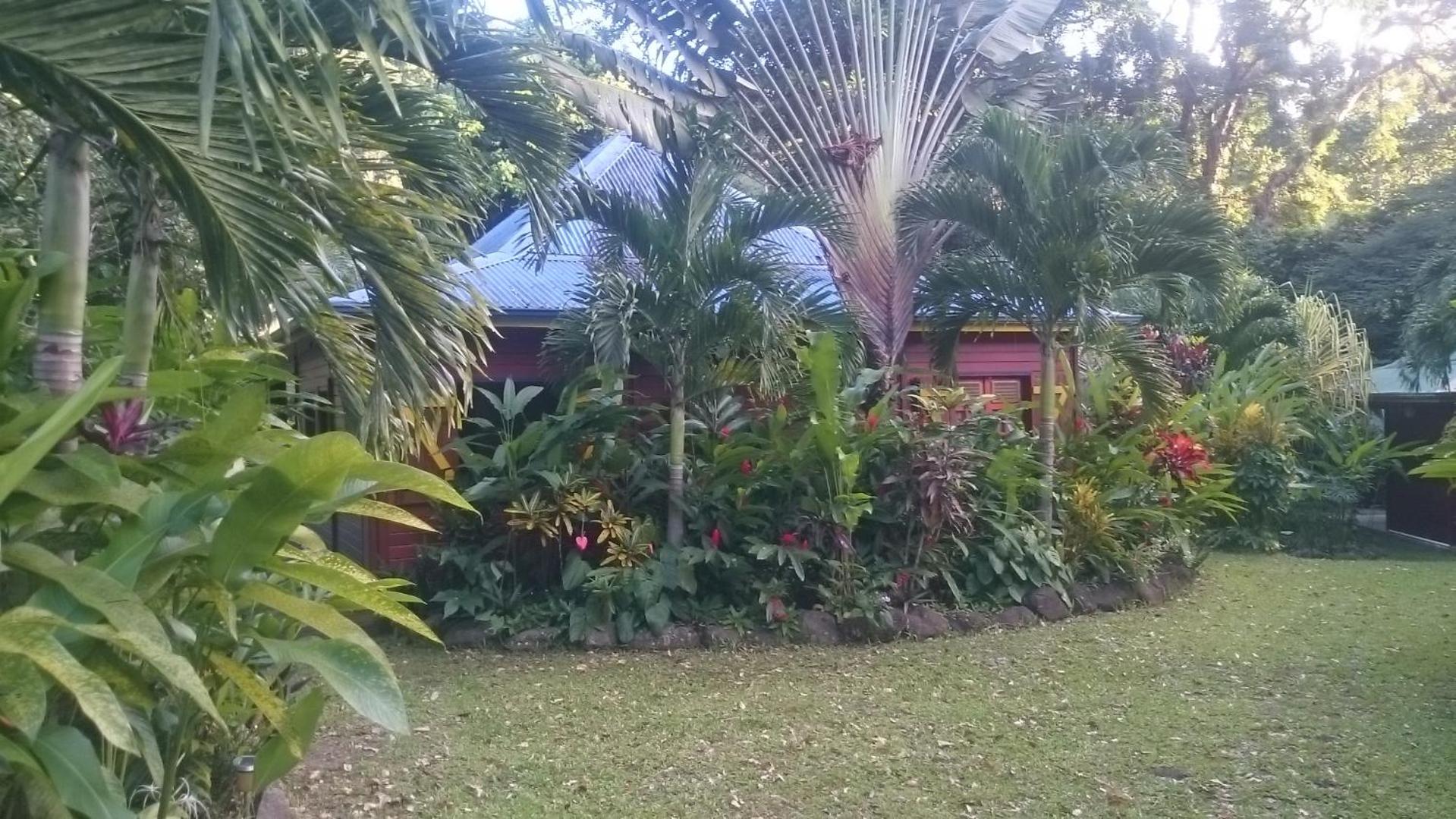 Photo 35