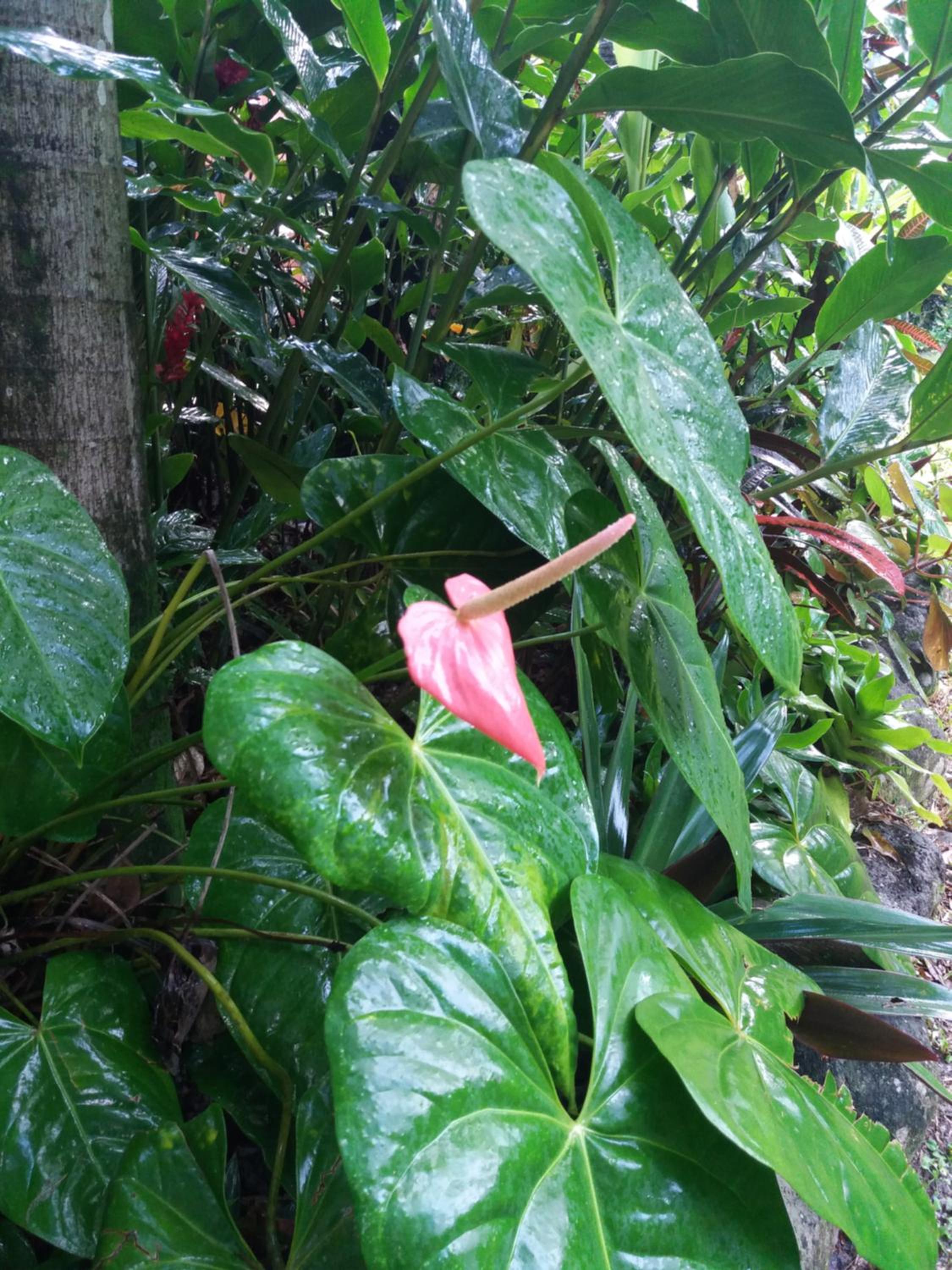 Photo 40