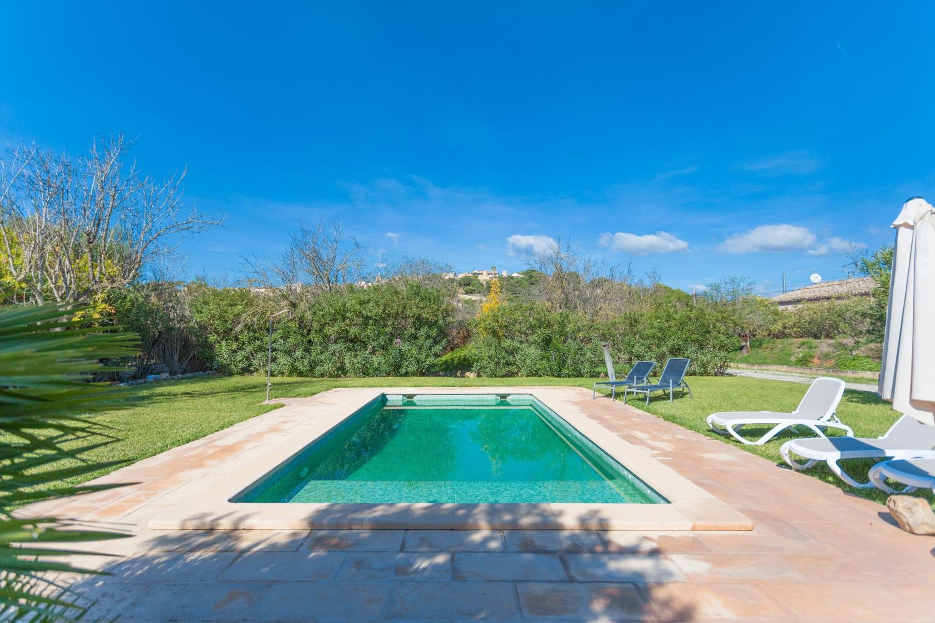 Pou Vell ETV1488 photo 3