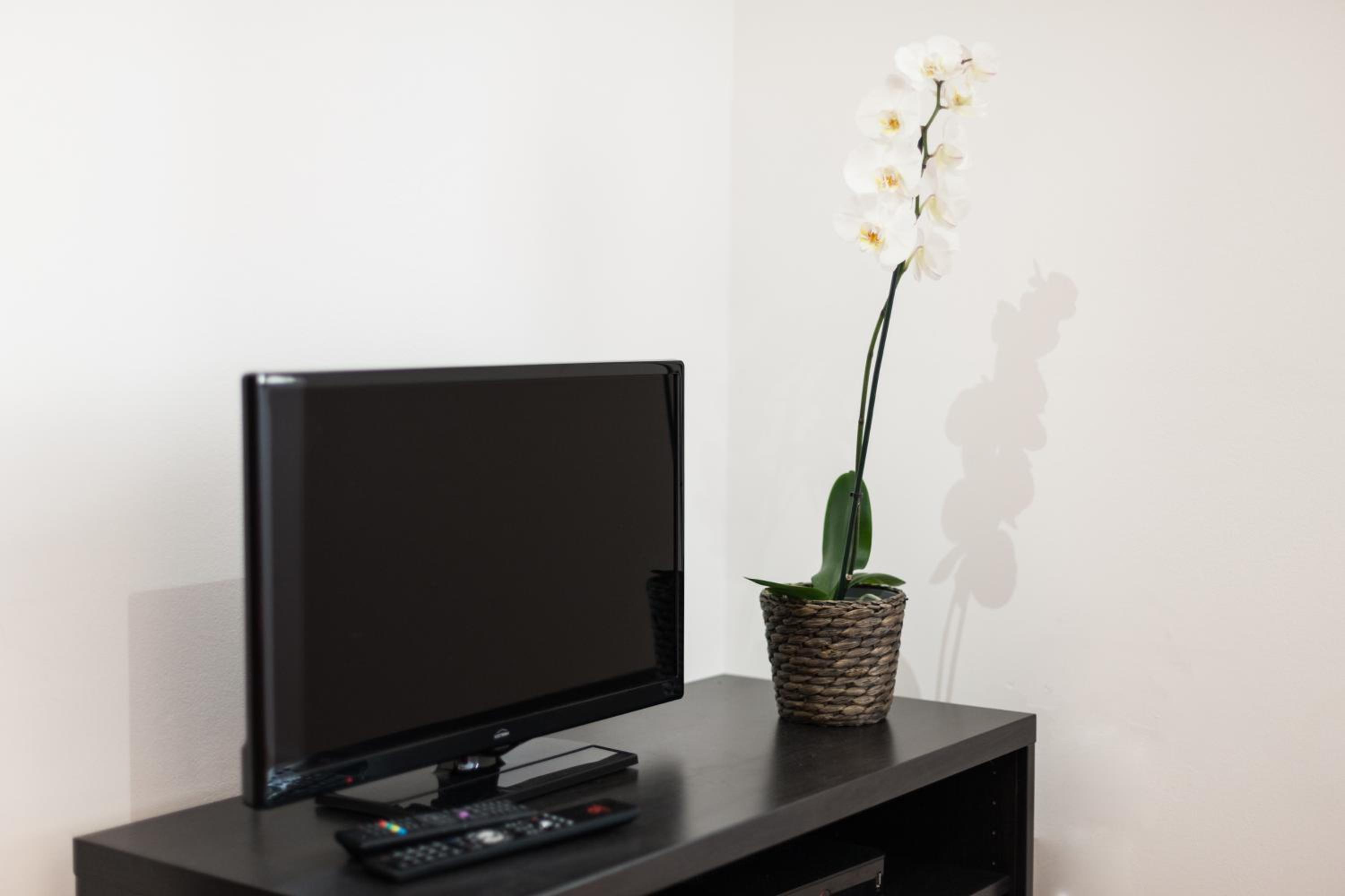 Apartment in Castelo