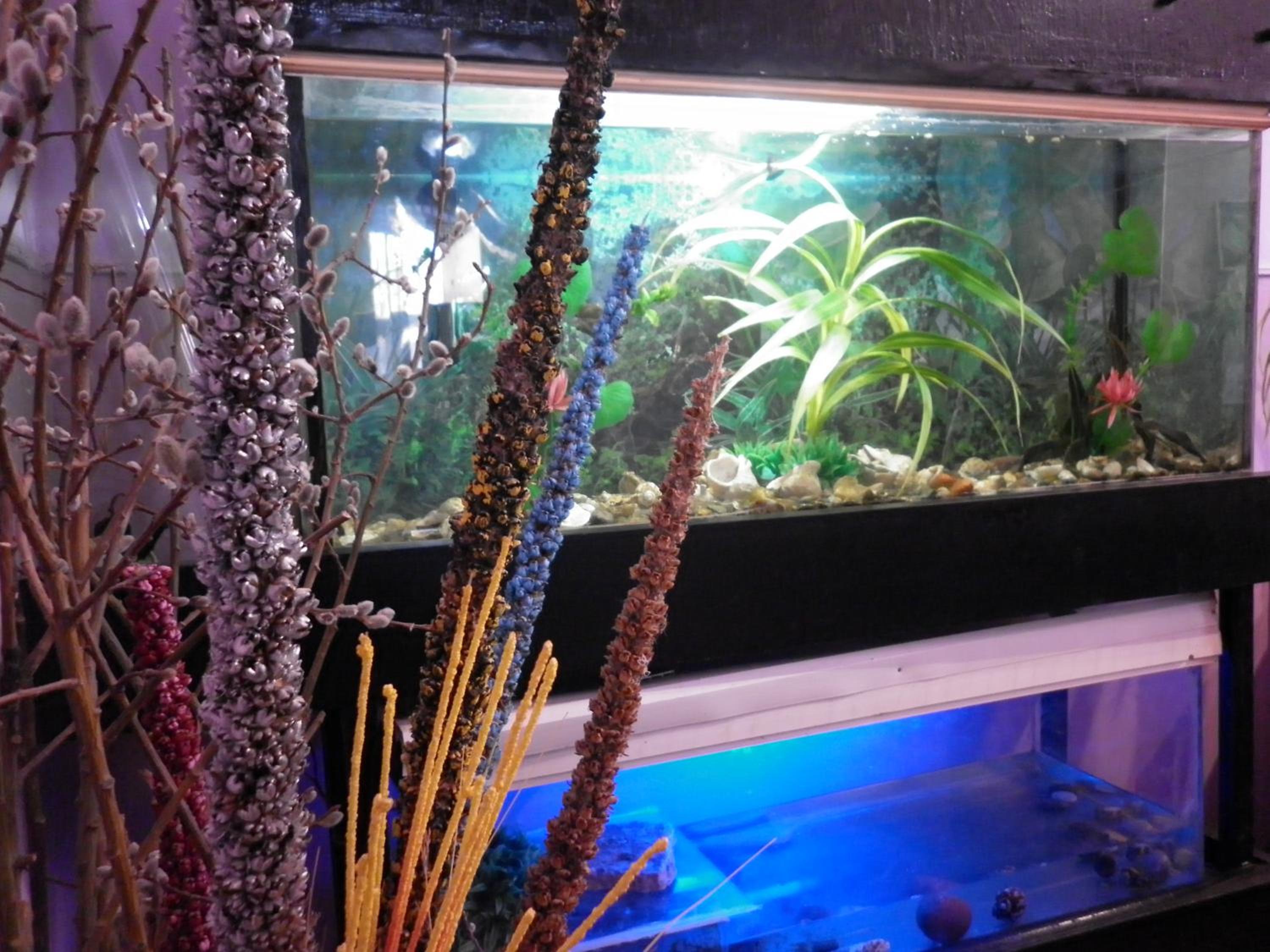 Guest House Dompolski