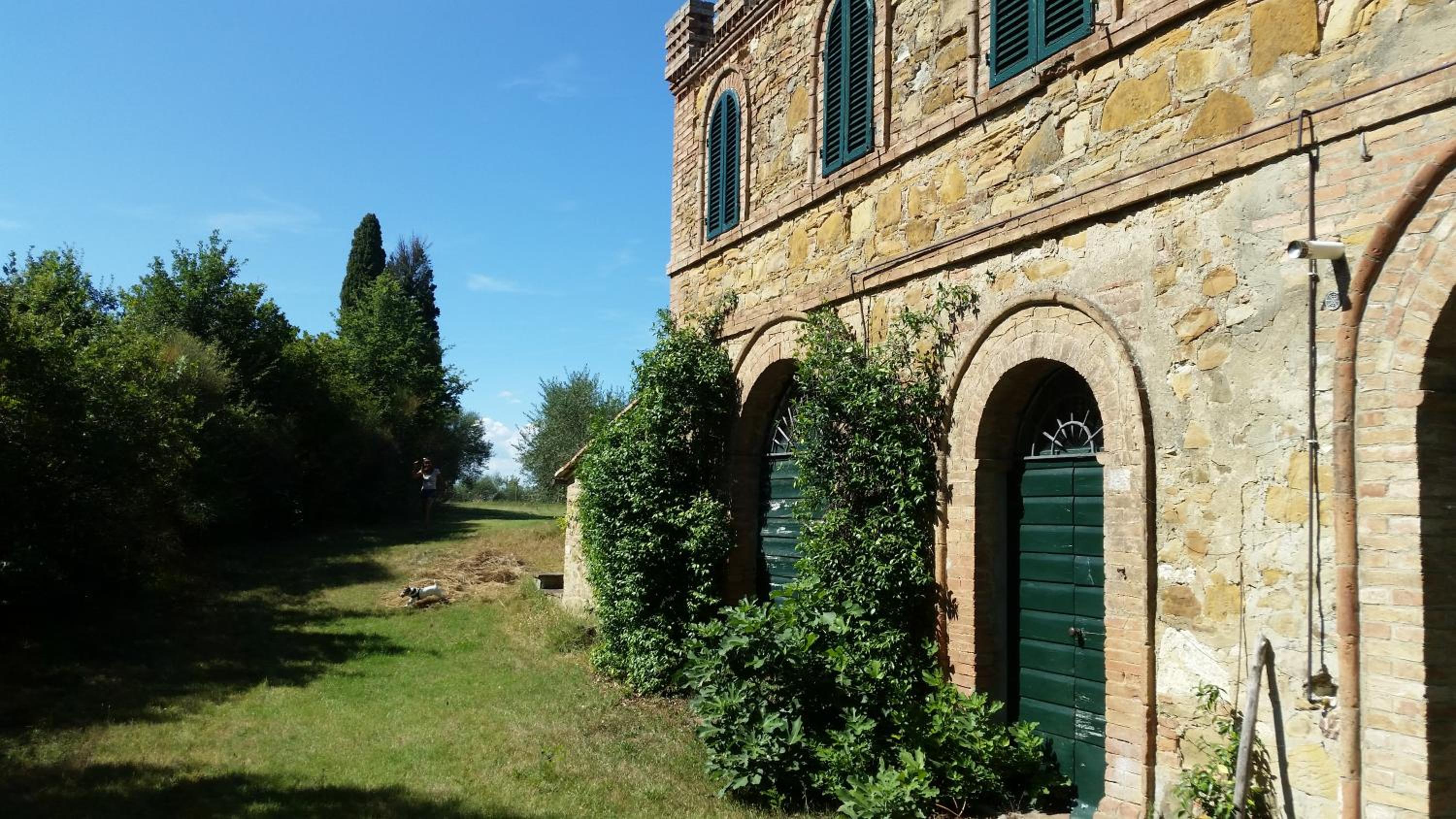 Photo 15