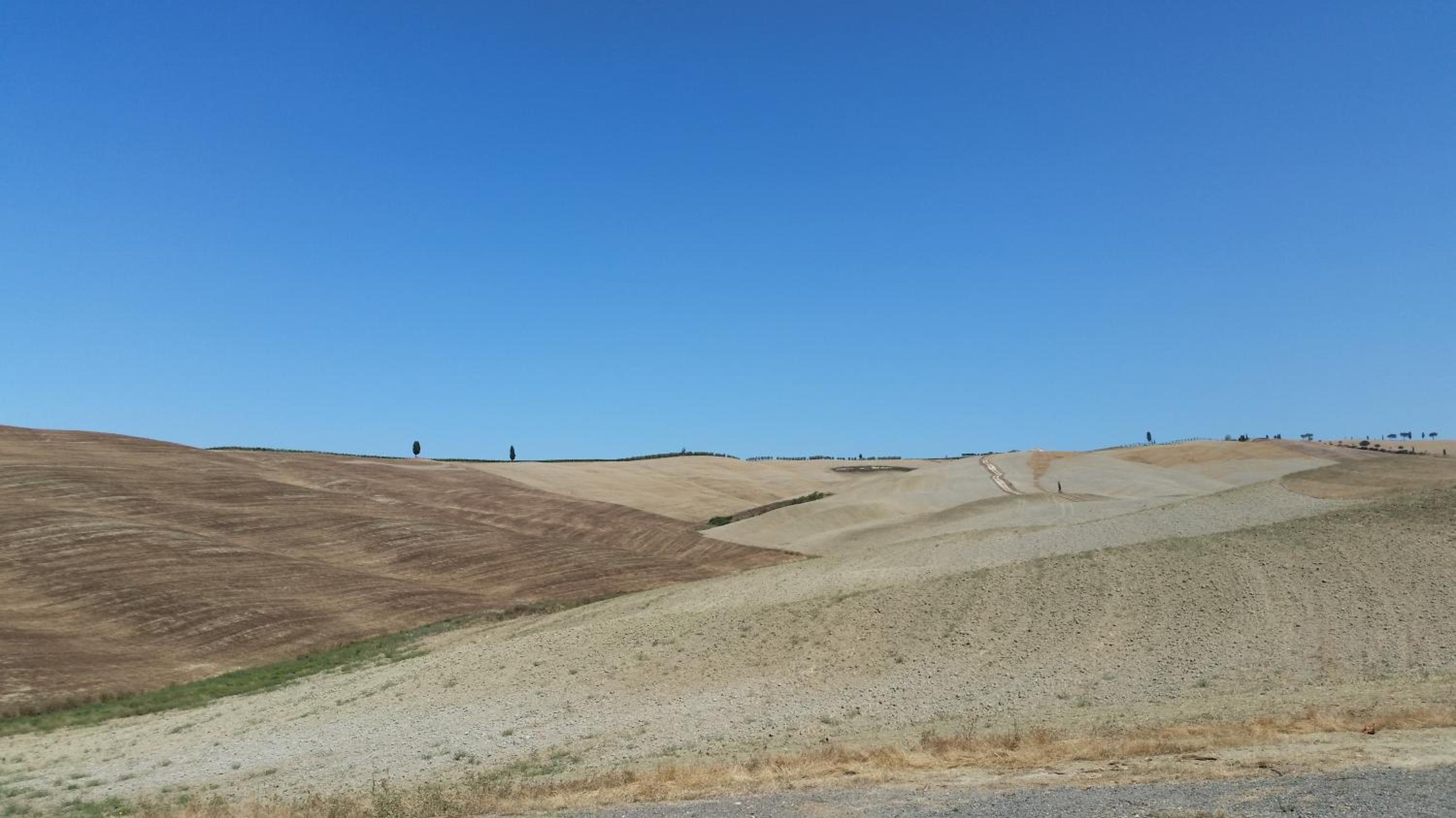 Photo 37
