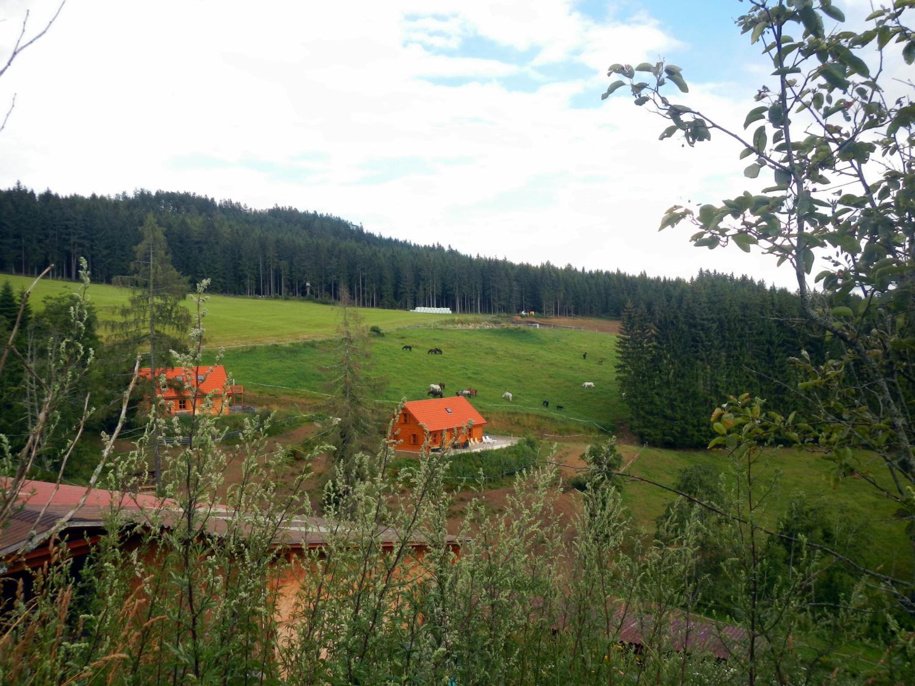 Photo 26