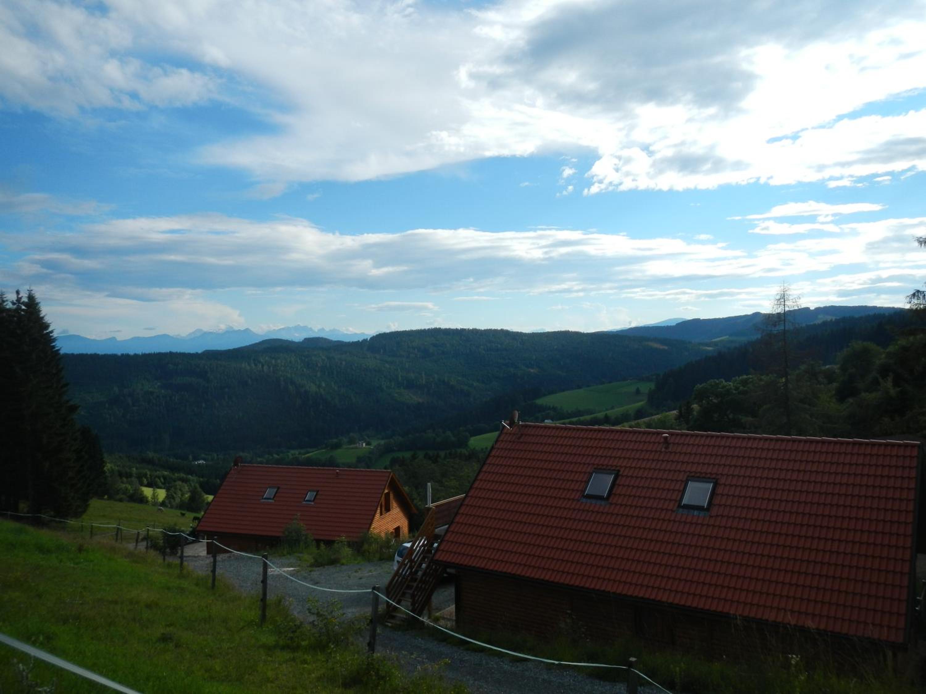 Photo 29