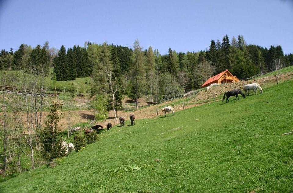 Photo 32