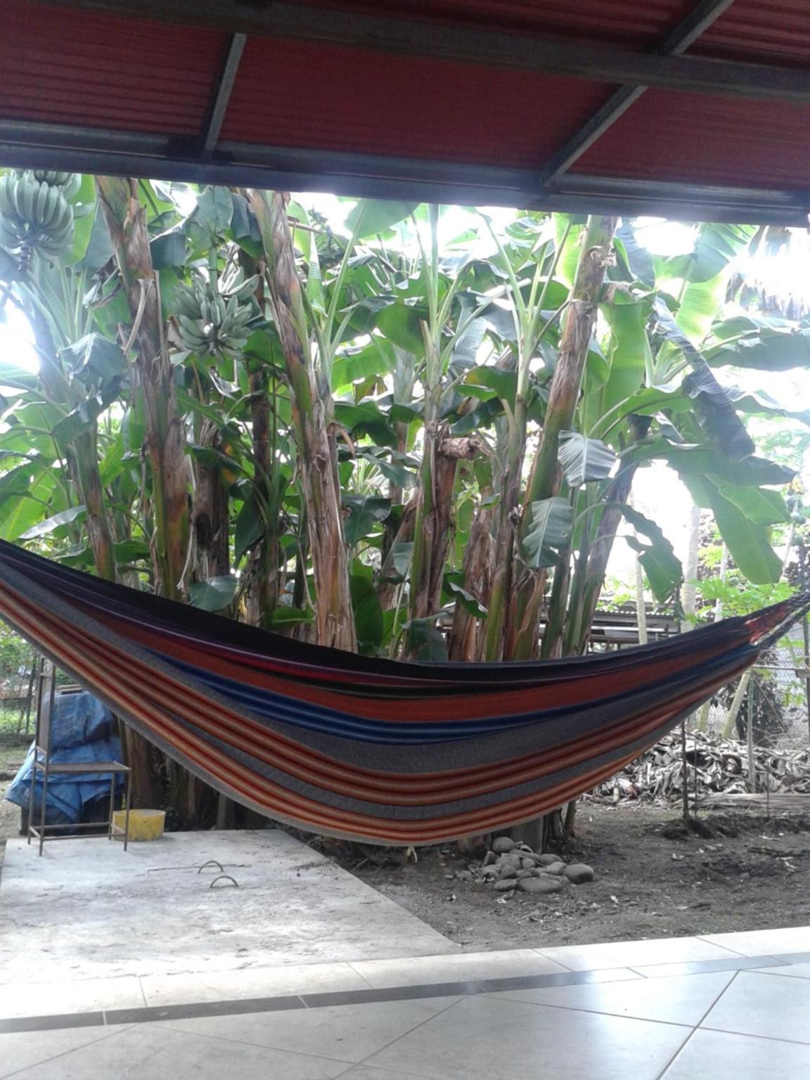PaCasa Hostel, photo 35
