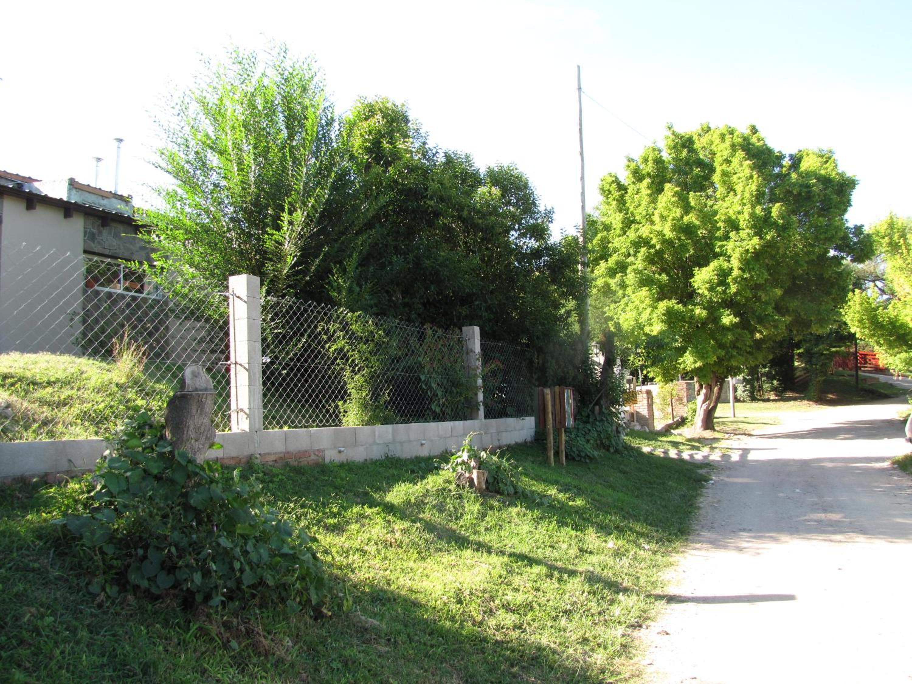 Crisol 21