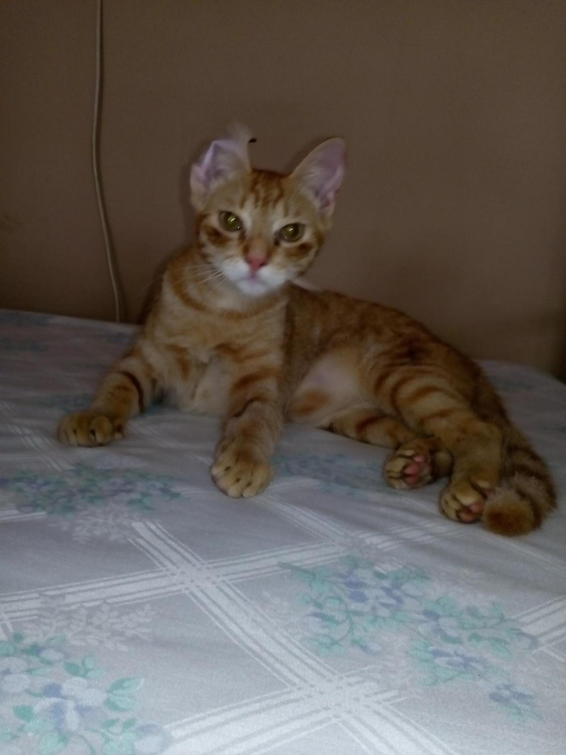 PaCasa Hostel, photo 21
