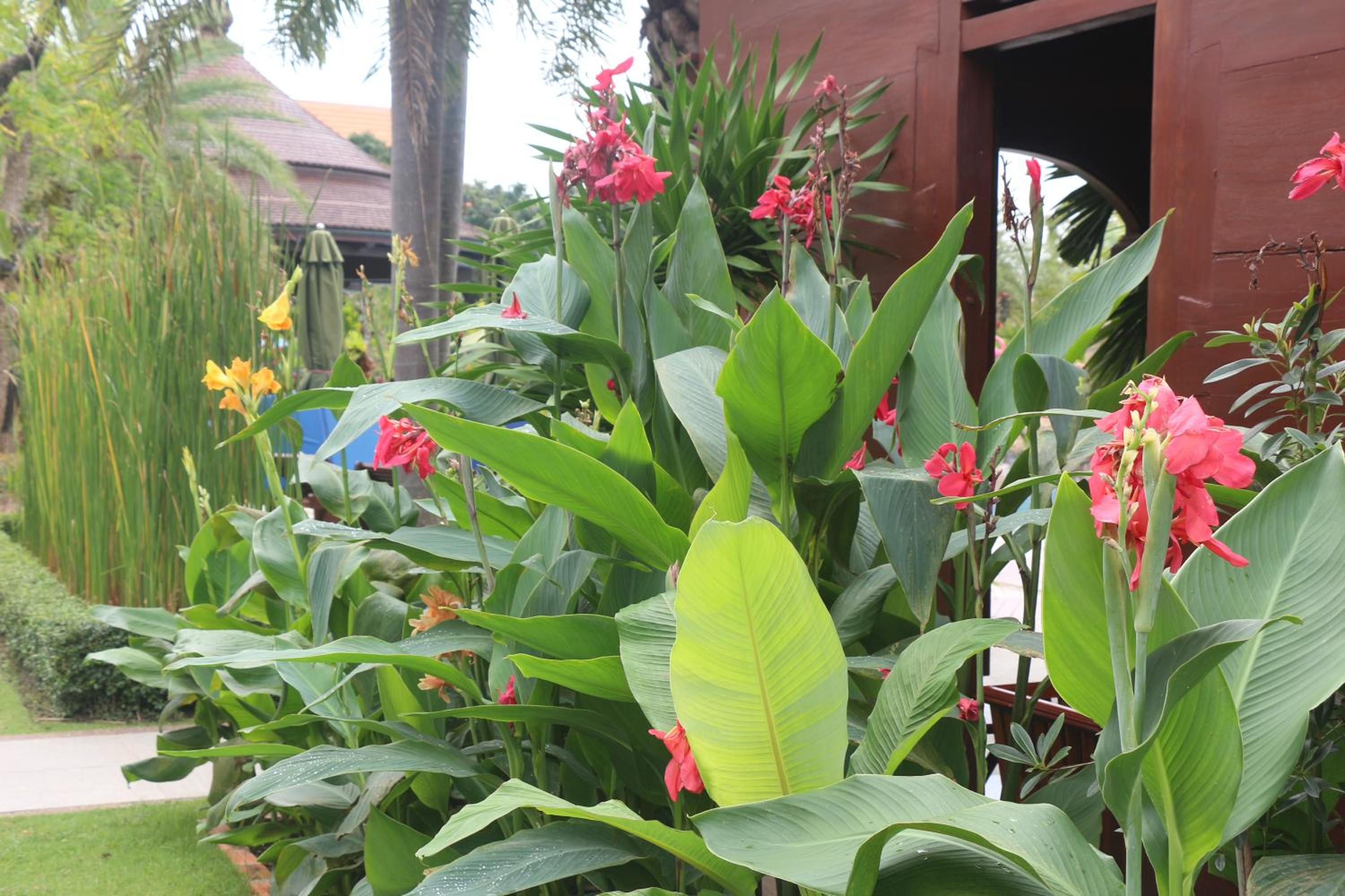 Try Palace Resort Kep