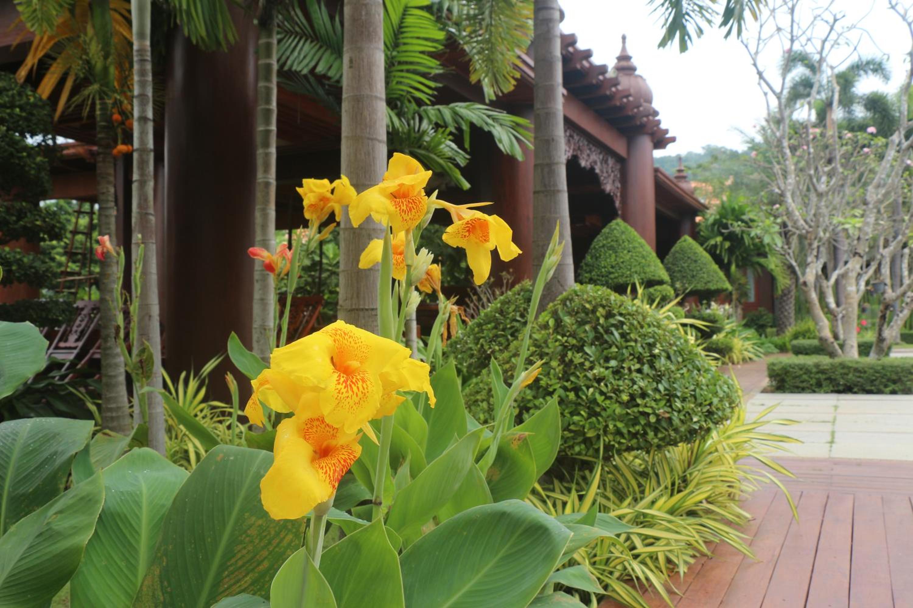Try Palace Resort Kep