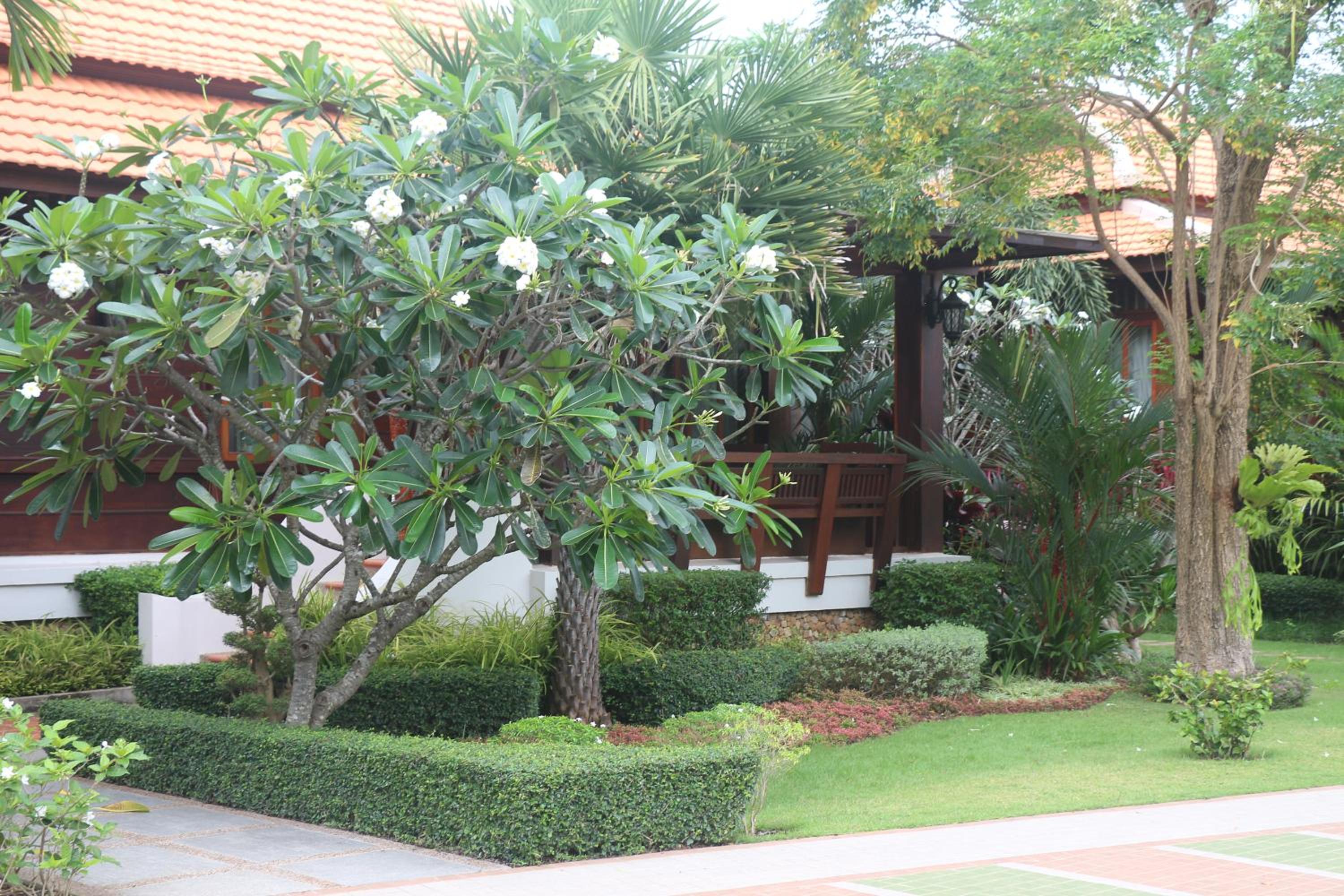Try Palace Resort Kep