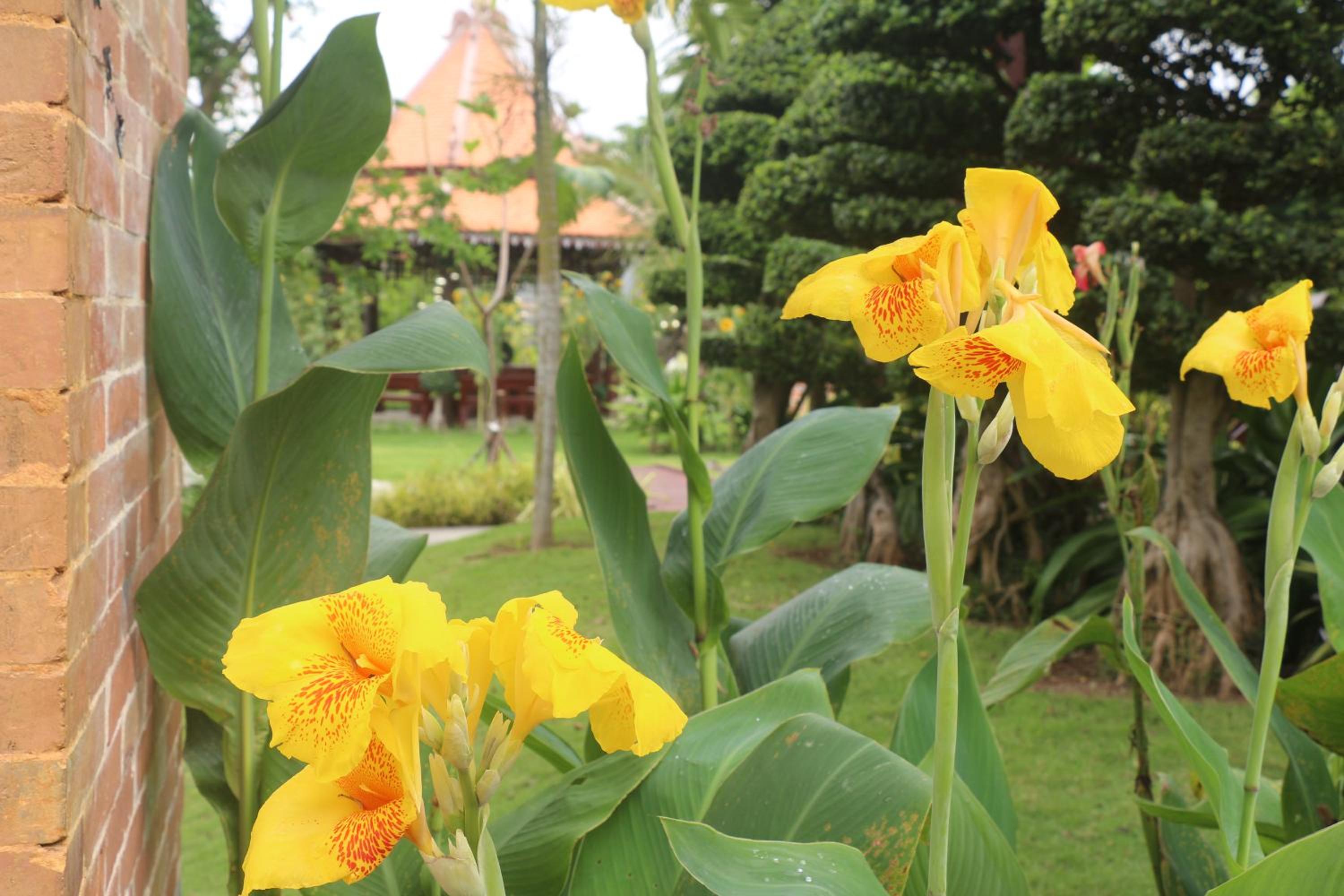 Try Palace Resort Kep