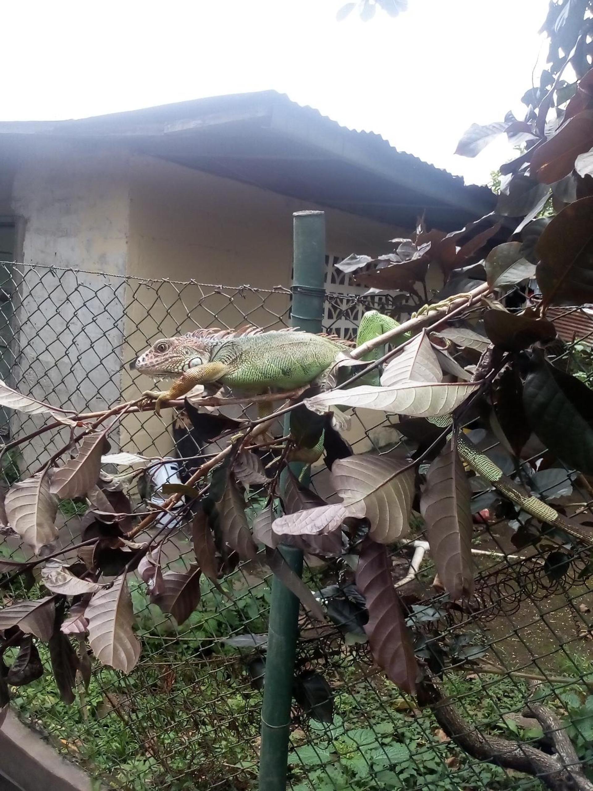 PaCasa Hostel, photo 62