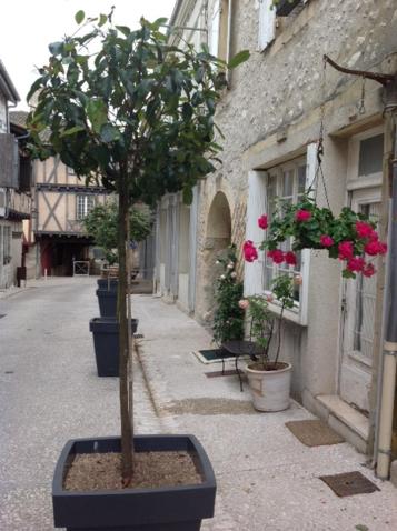 Photo 17