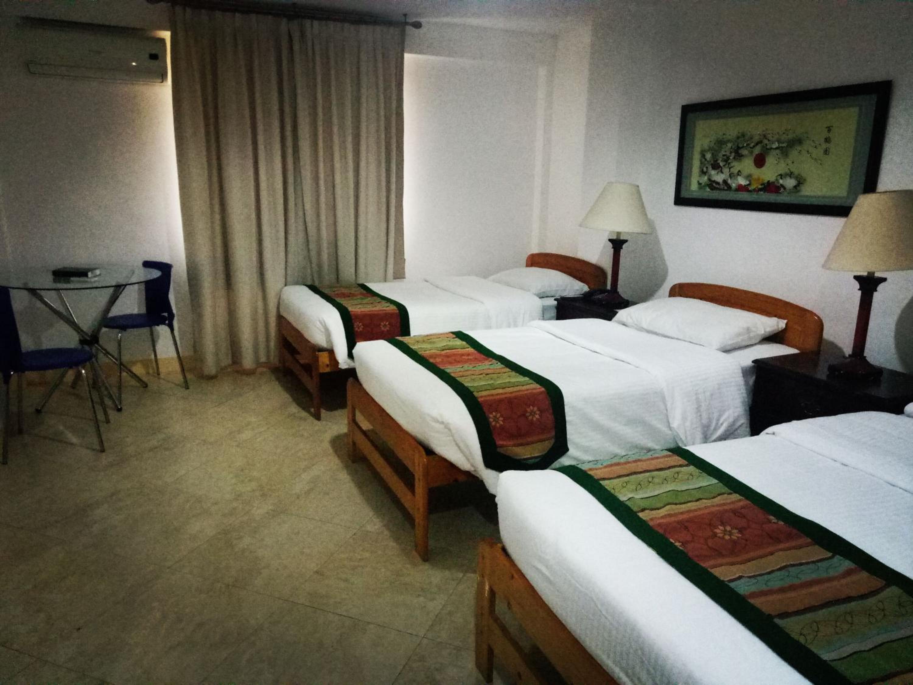 Metro Vigan Inn