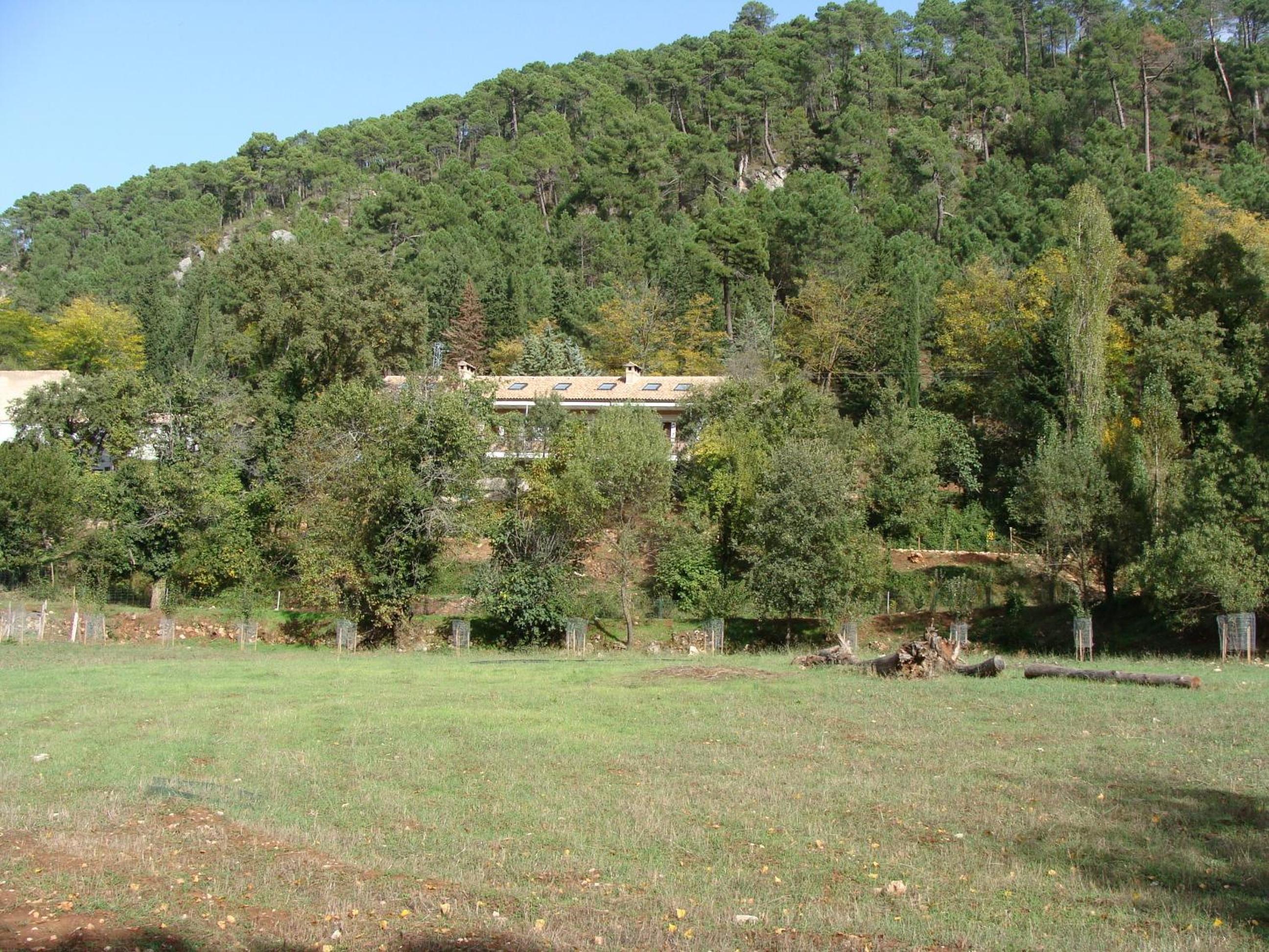 Photo 25