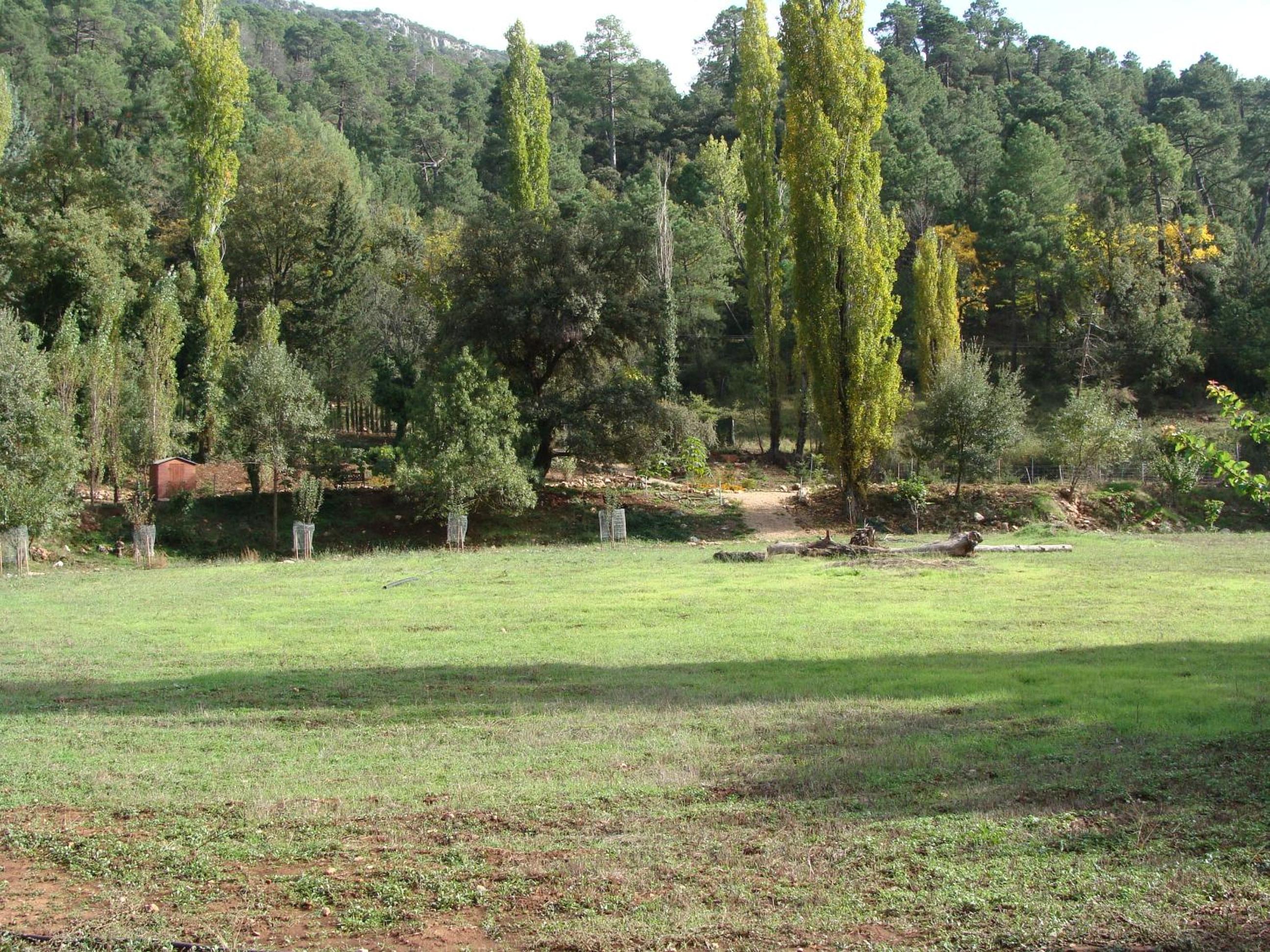 Photo 26