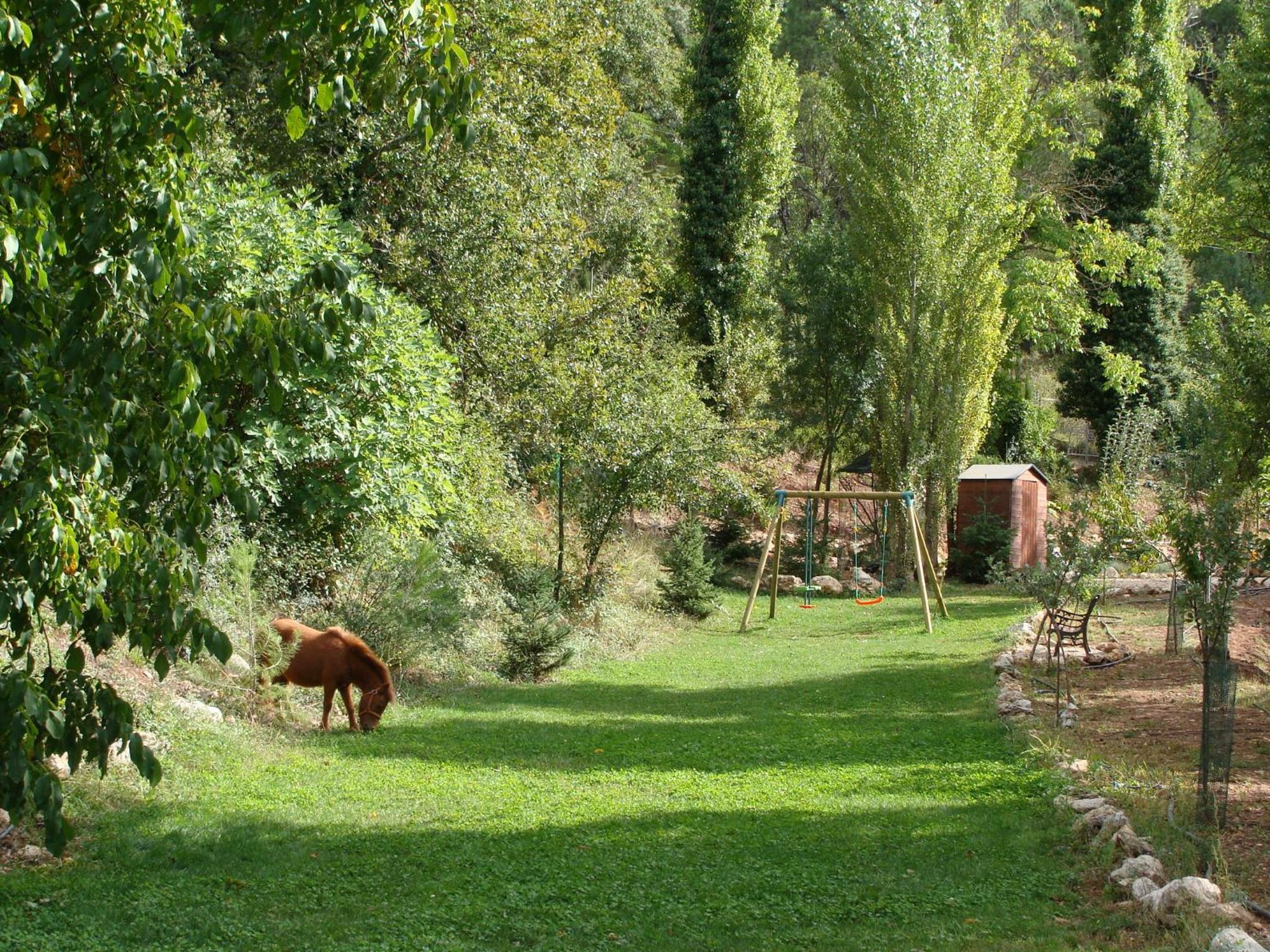 Photo 17