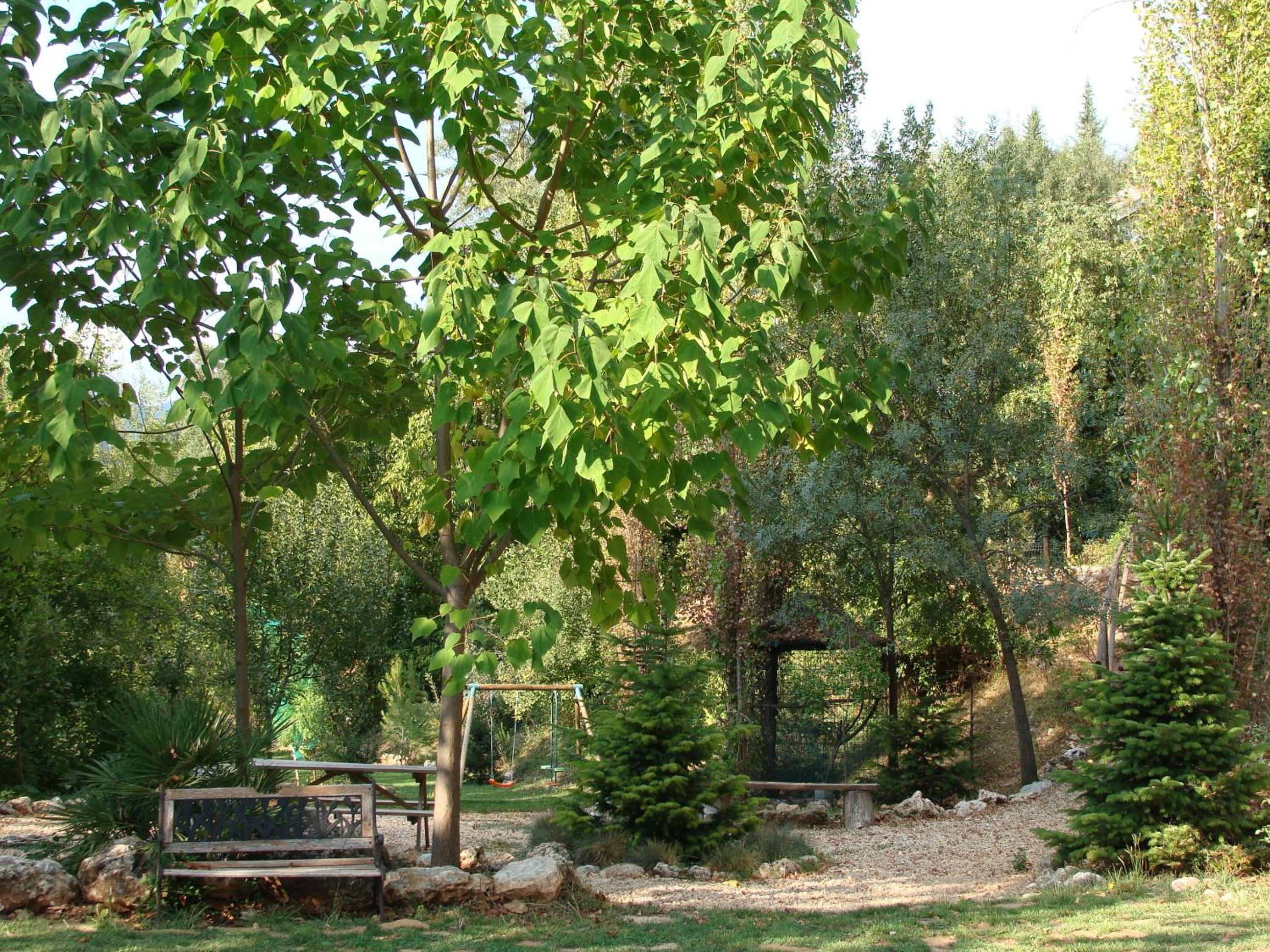 Photo 22