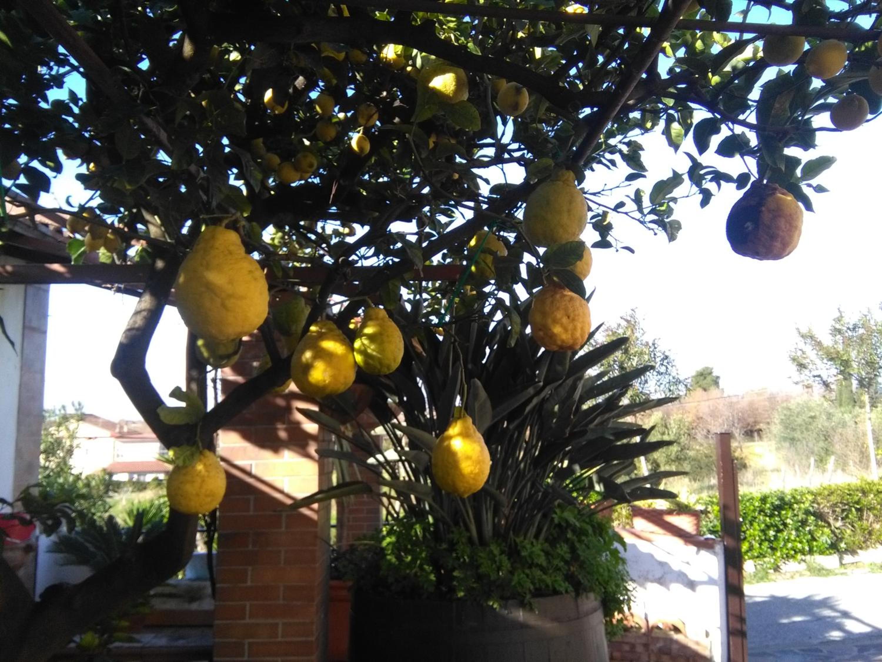 Photo 26