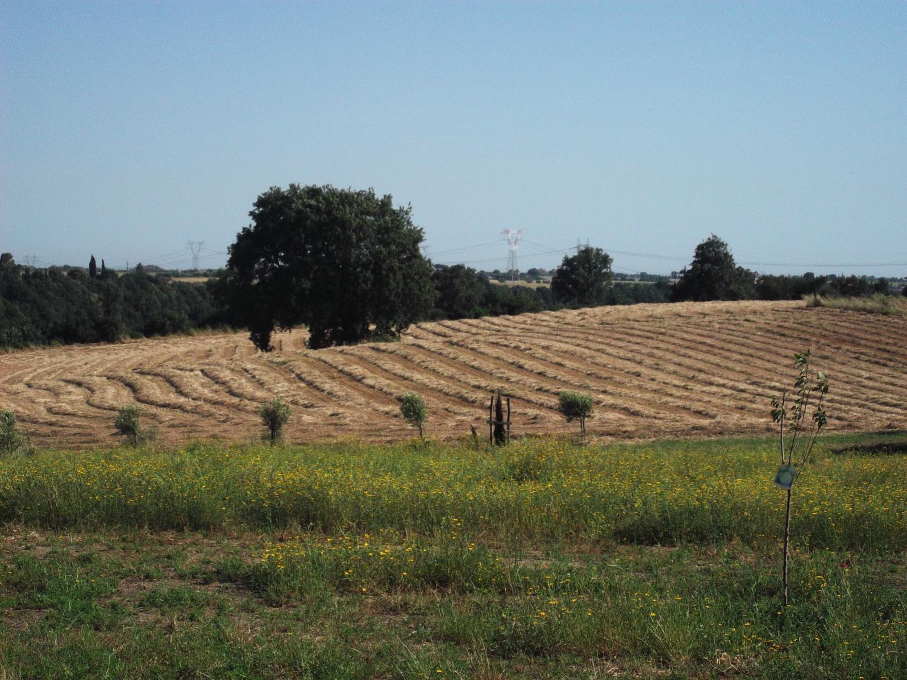 Poderi di Tragliatella