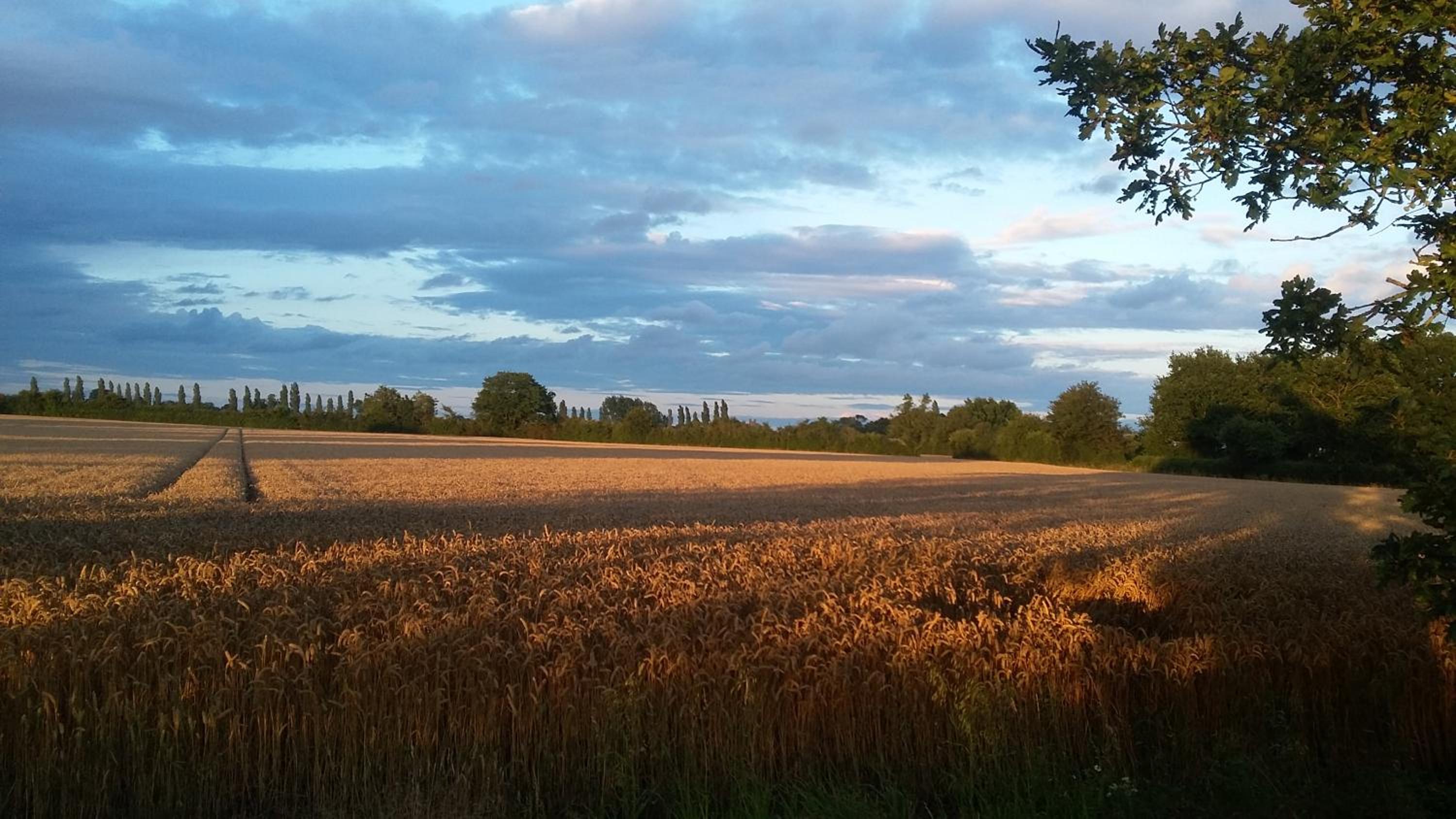 Photo 60