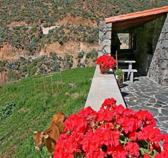 Hotel Casa rural El Coronel - Image 1