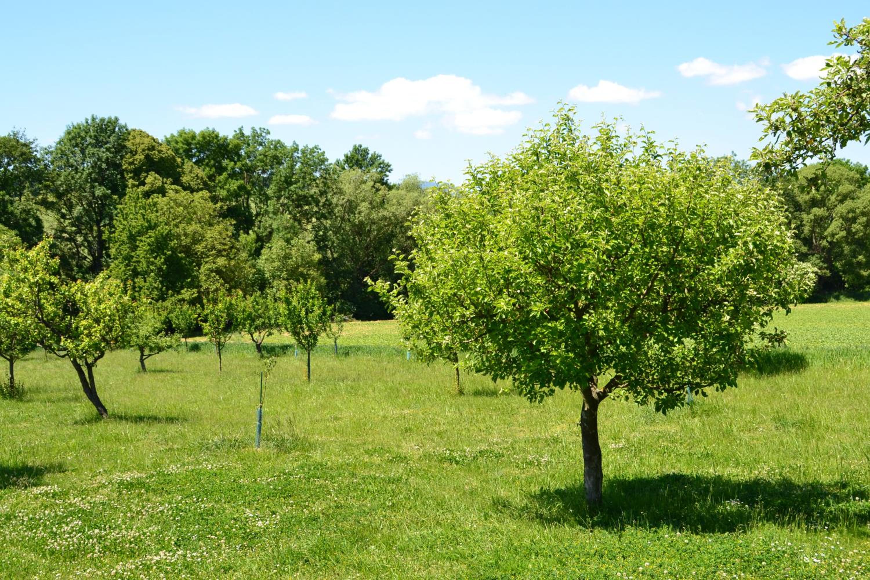 Photo 27