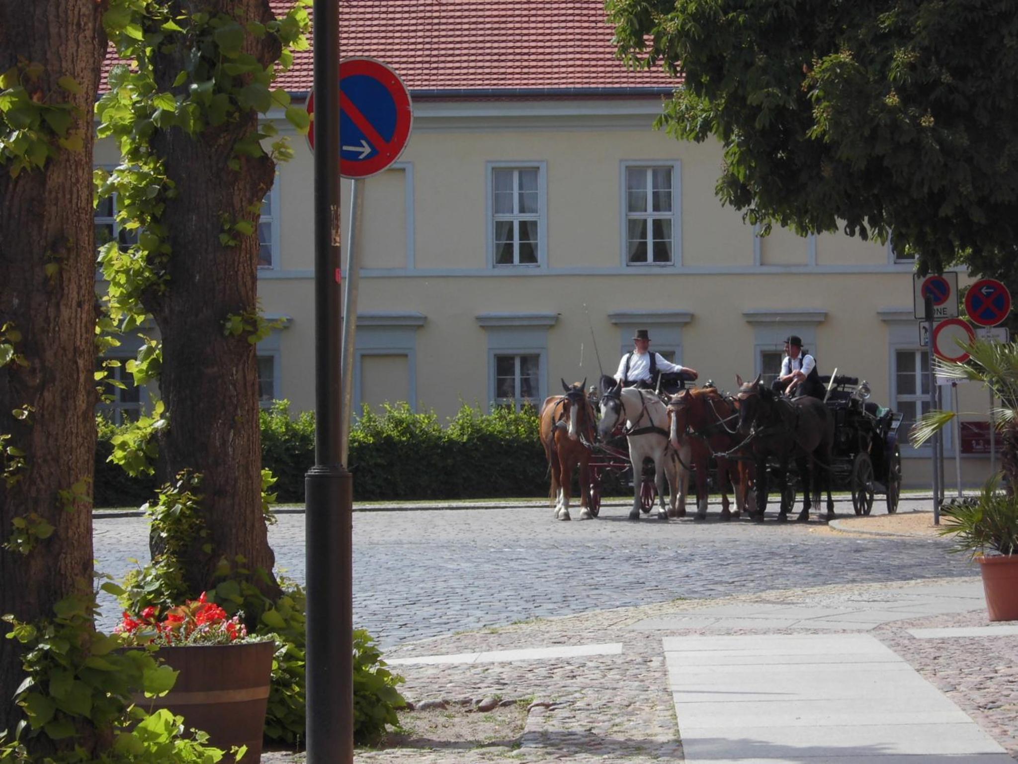 SchlossparkFerienwohnungen Rheinsberg mit Garten