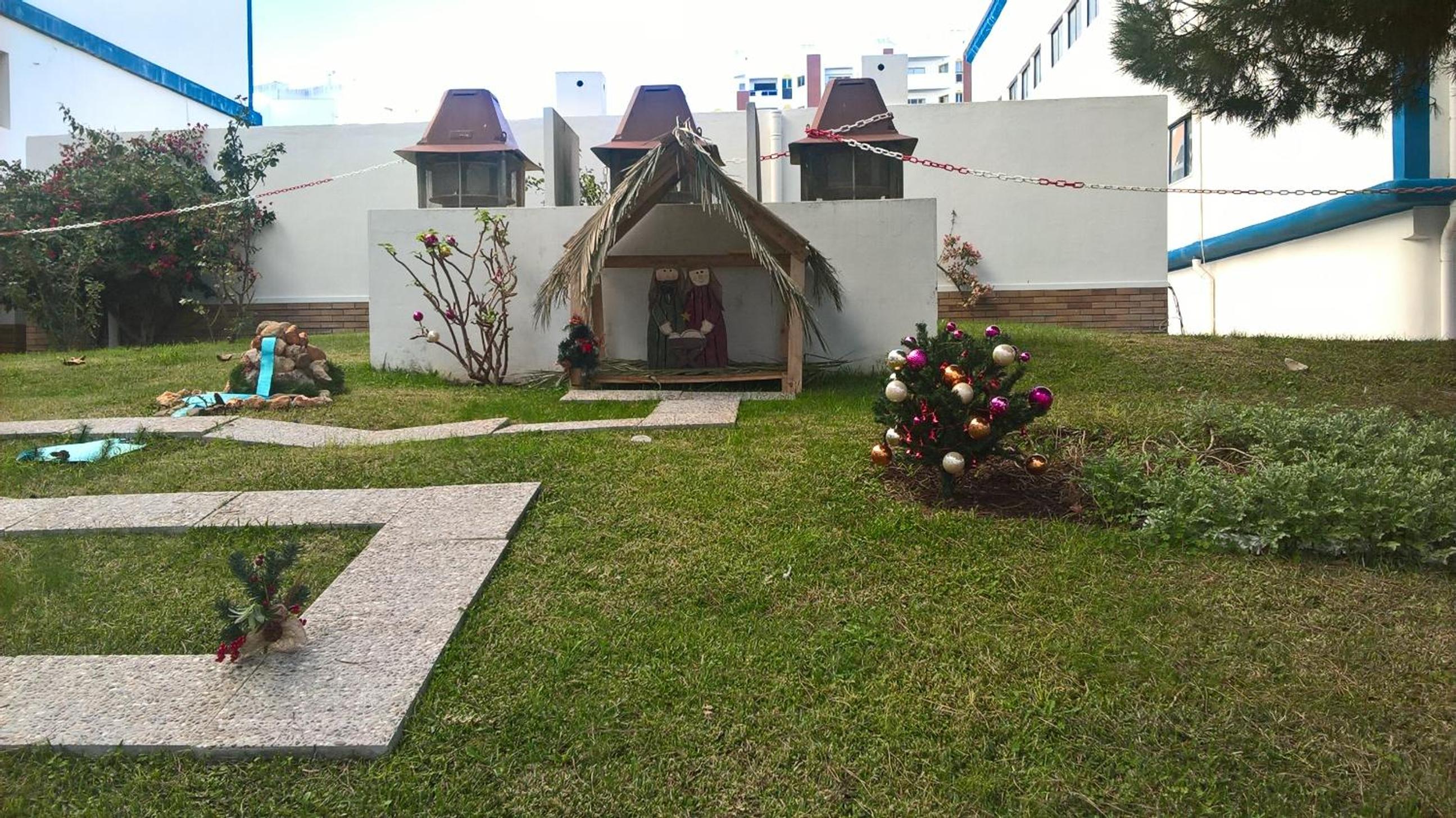 Photo 15