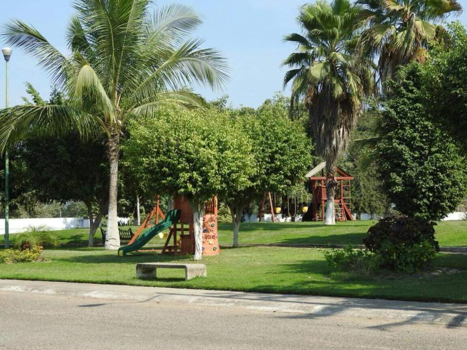 Photo 22