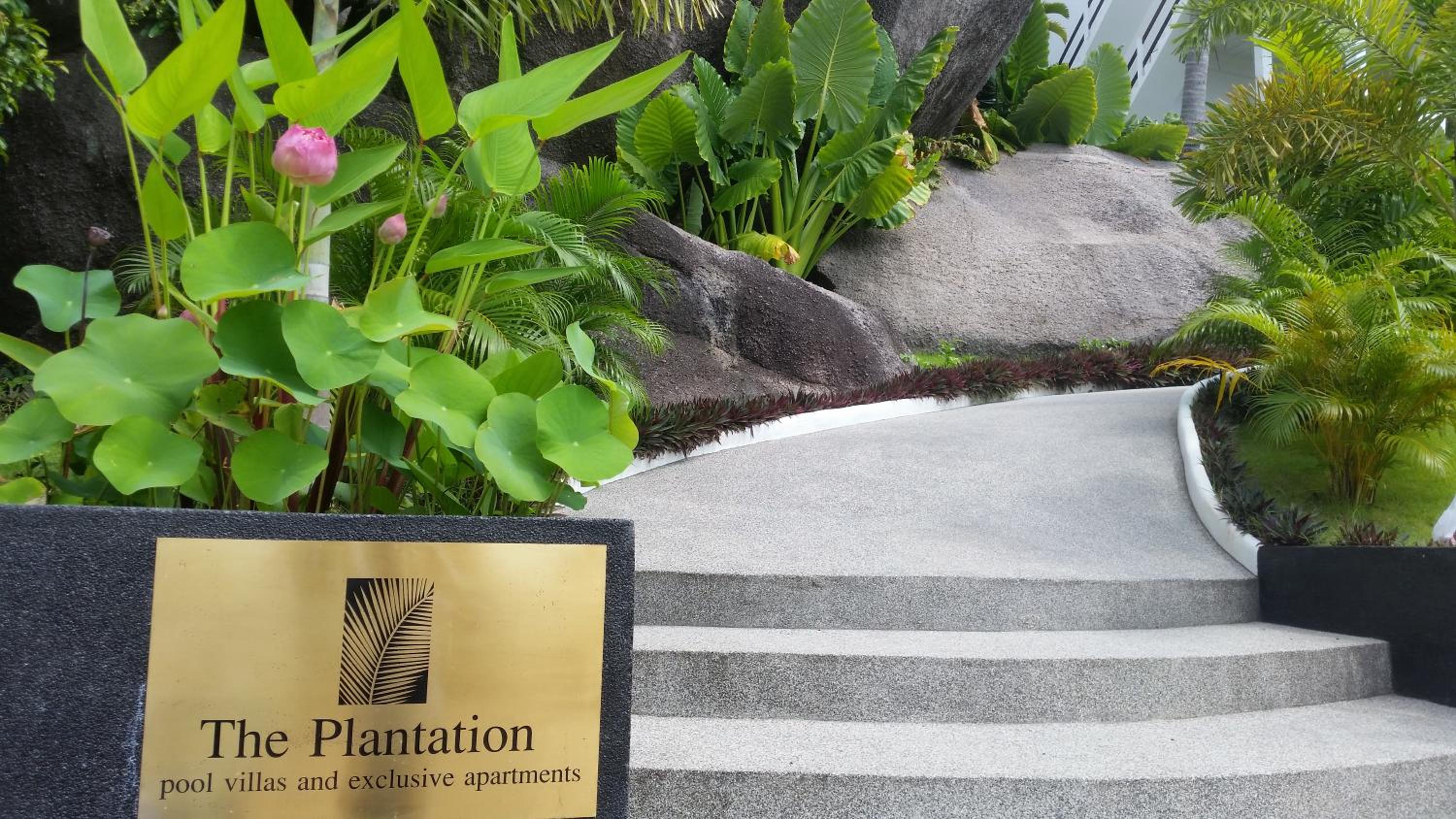 The Plantation Koh Tao