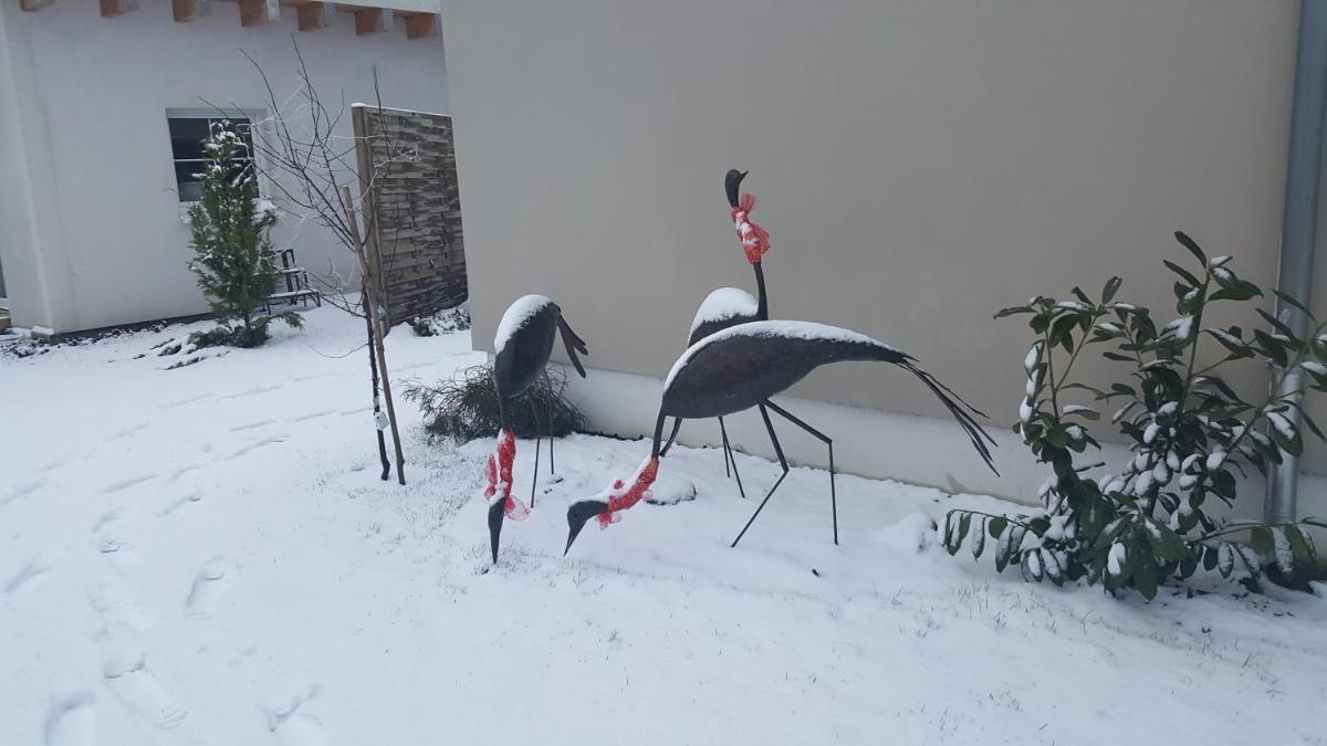 Ferienwohnung Cosmeahouse - Property Image 42