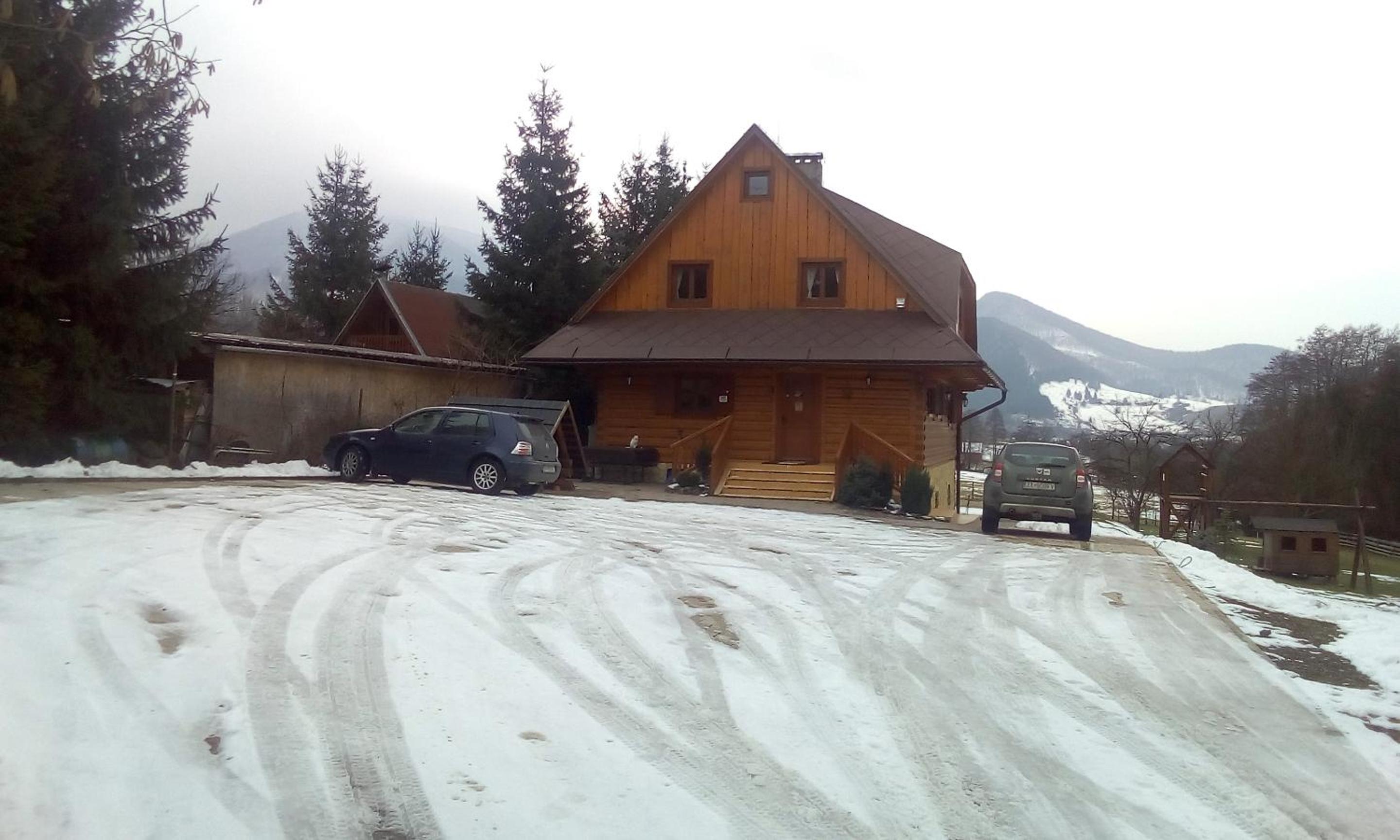 Photo 11