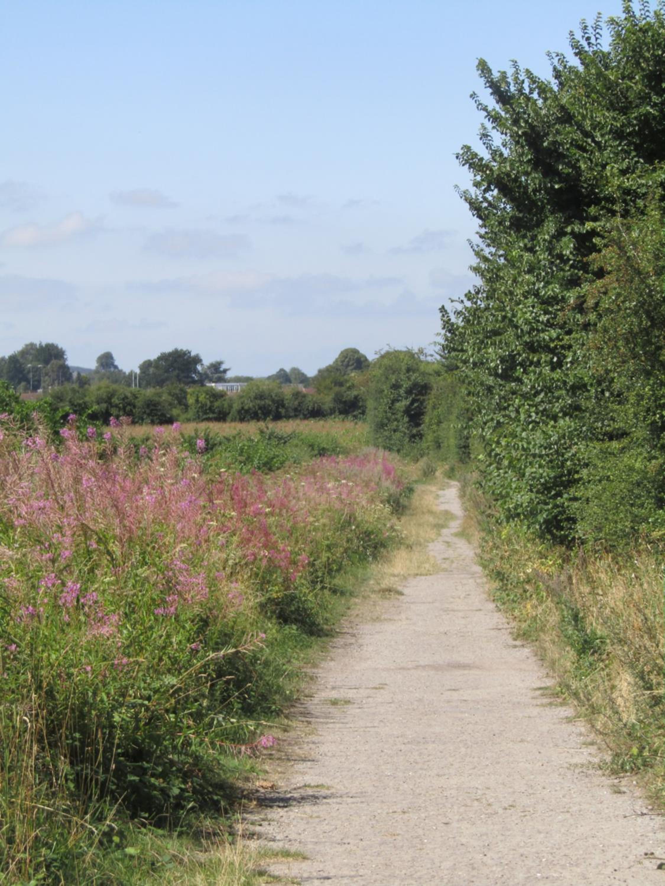 Warminster Vacations - Home Farm Boreham - Property Image 1