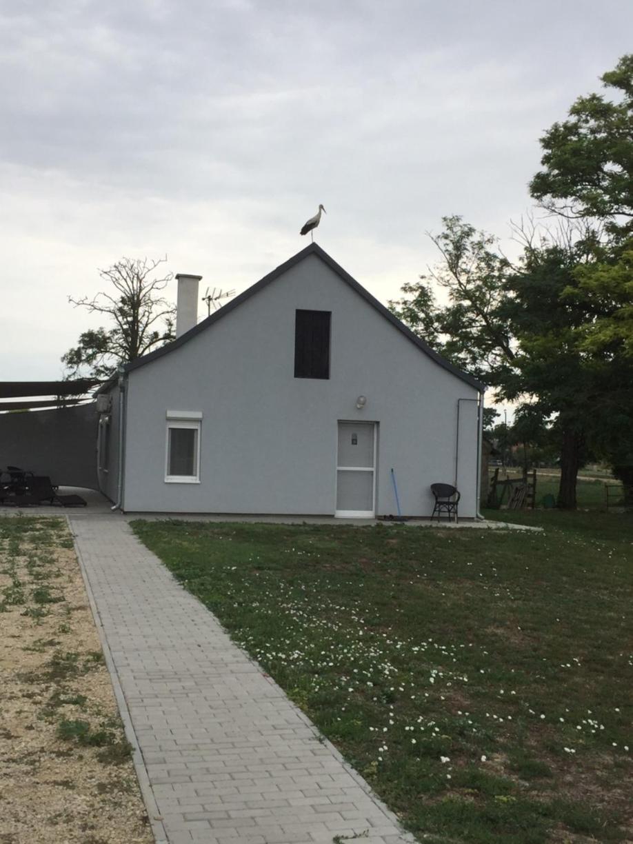 Photo 43
