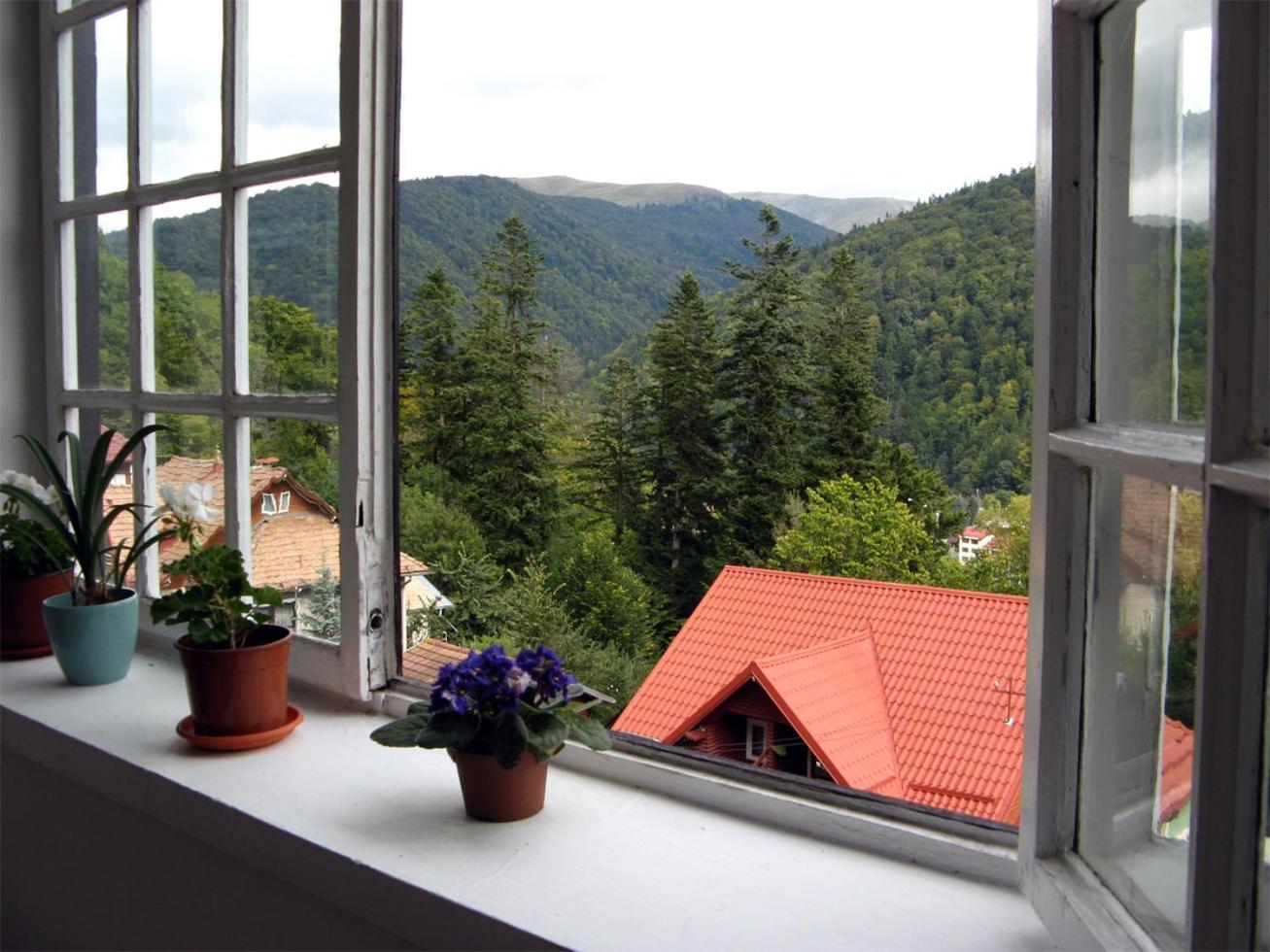 Vila Gabriel view 5