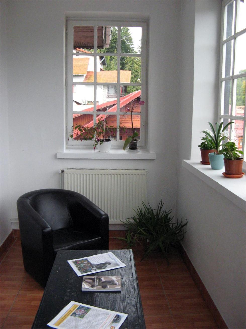 Photo 51