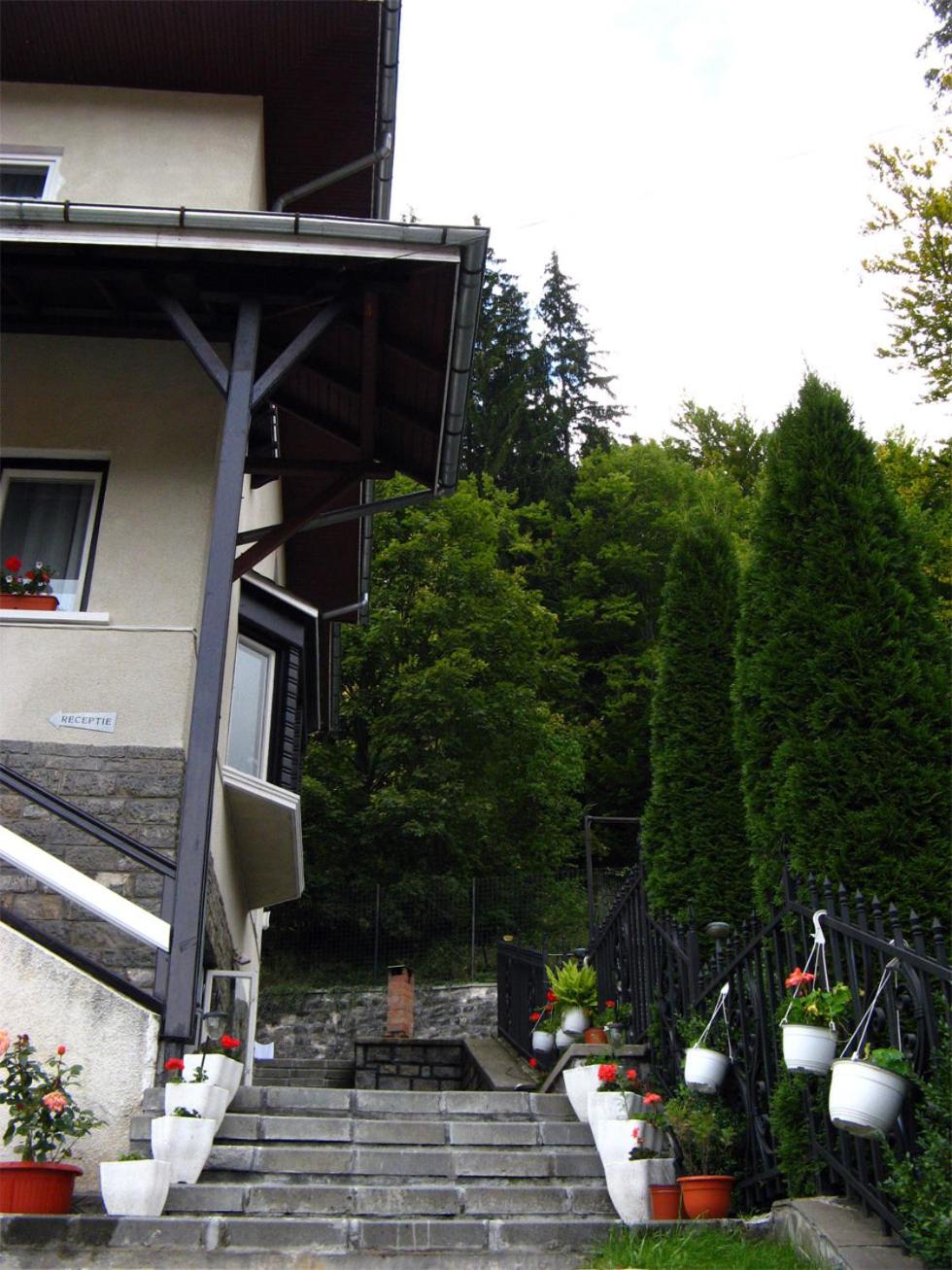 Photo 45