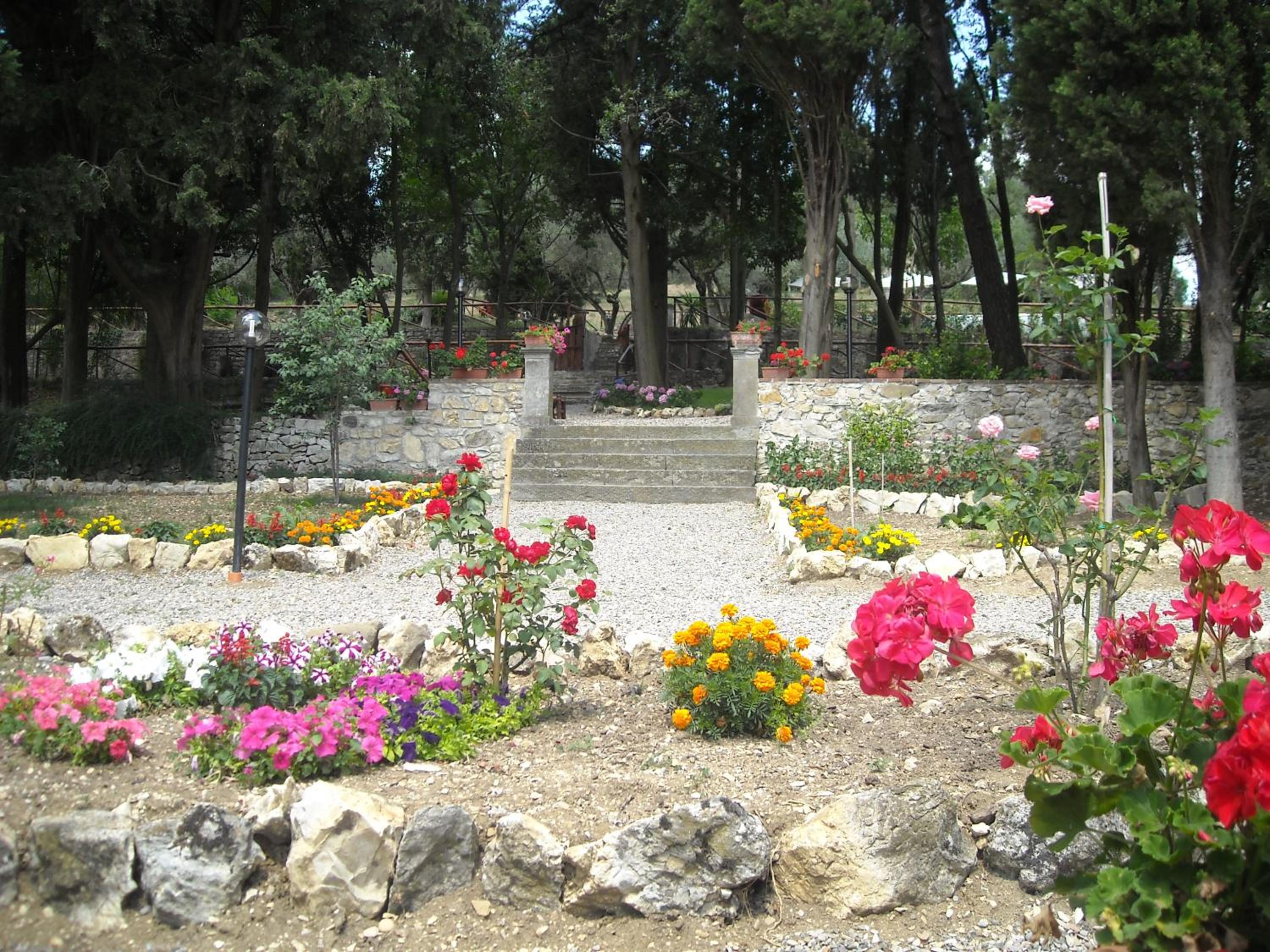 Photo 28