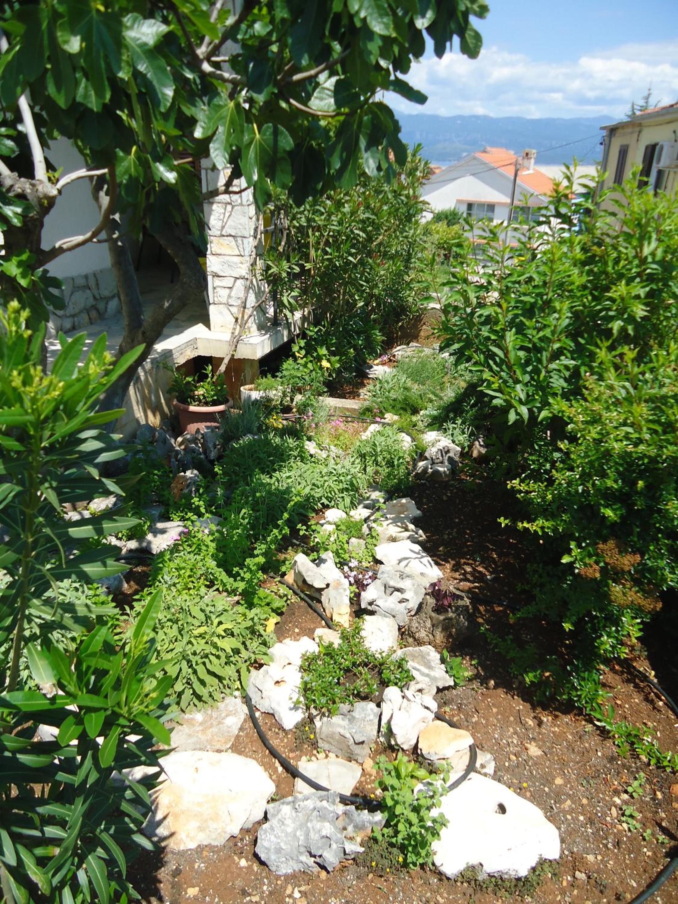 Apartments Jagoda