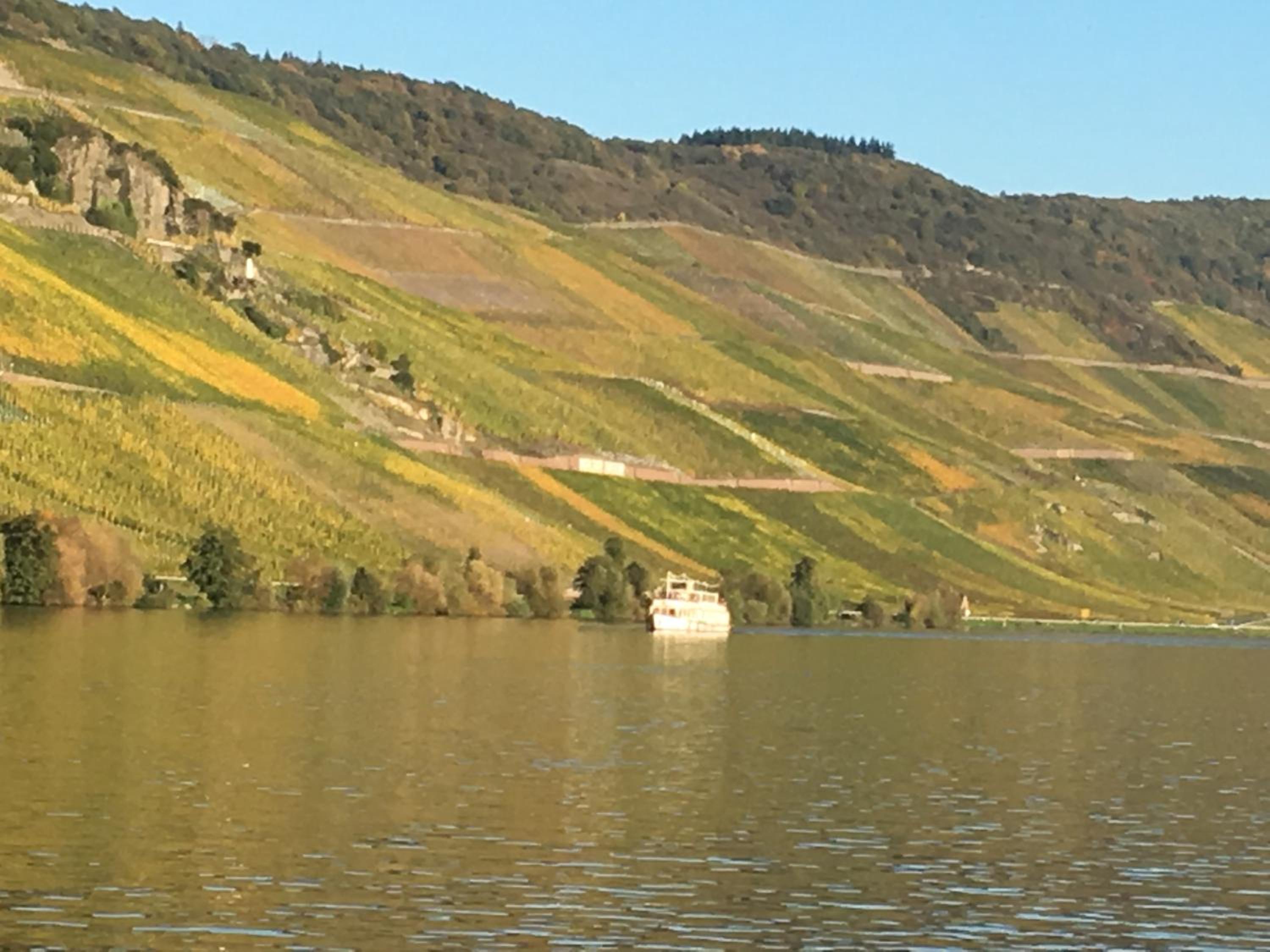 Ferienwohnung Mosel