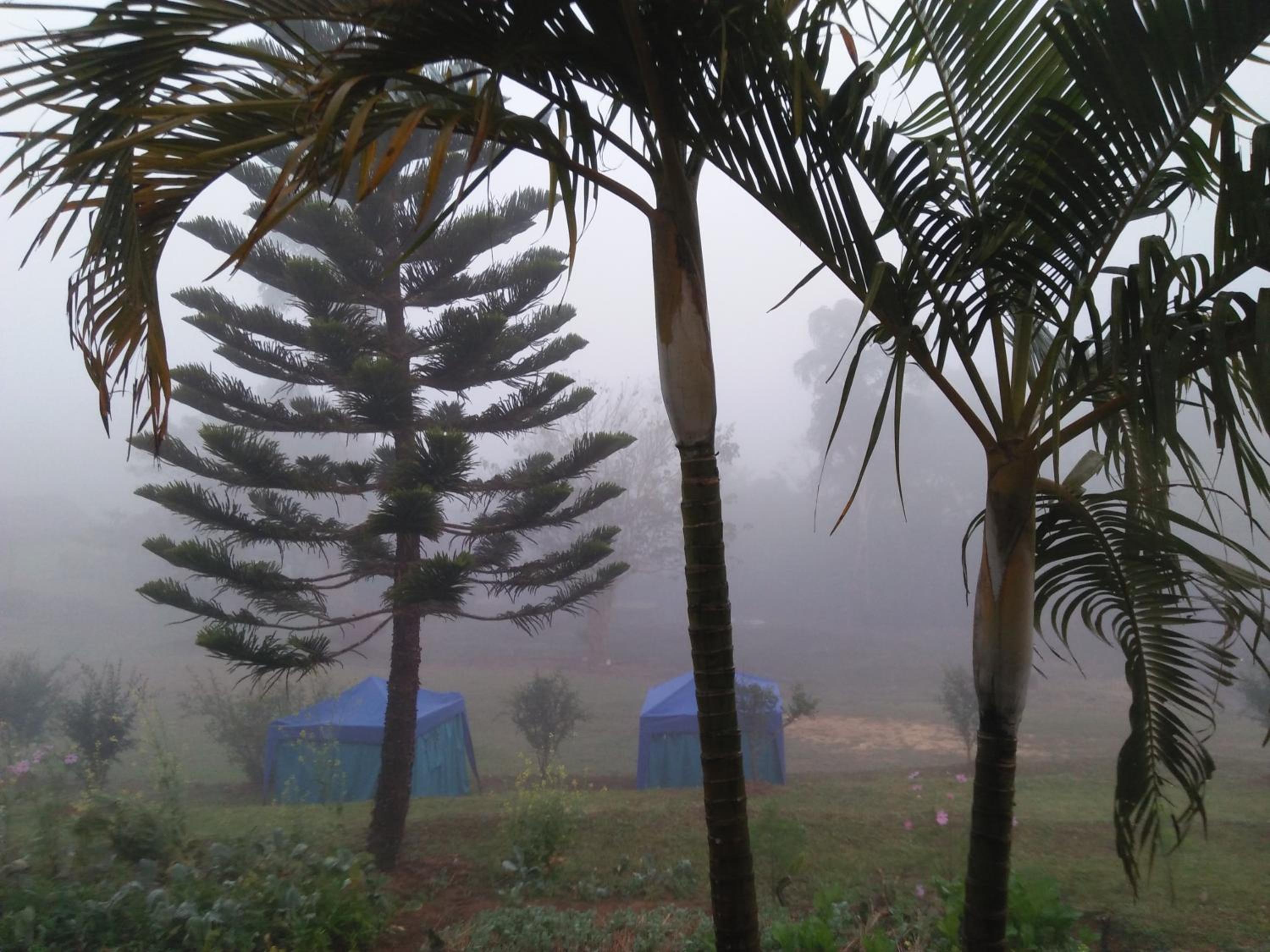 Mong Homestay Resort