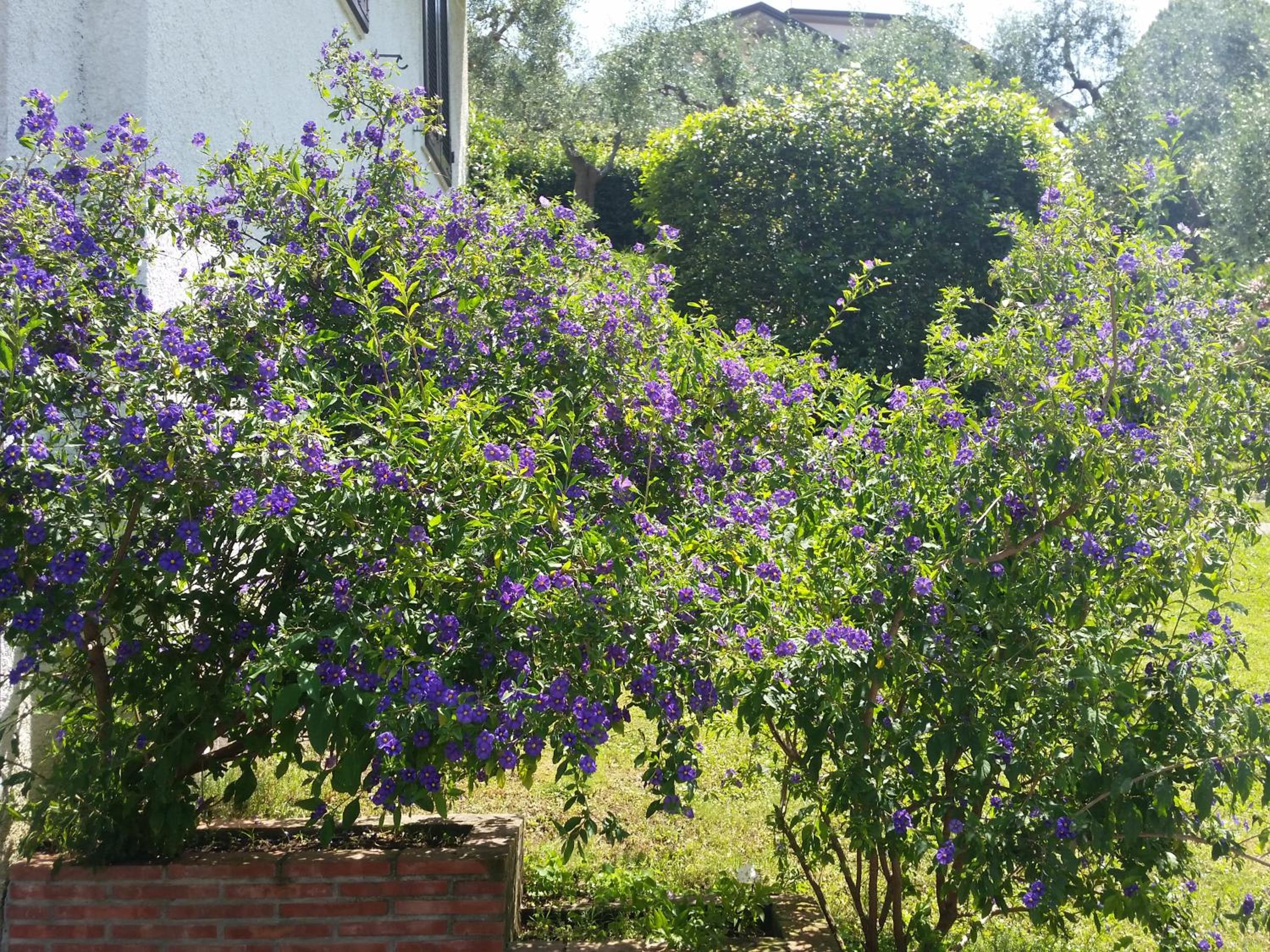 Photo 37
