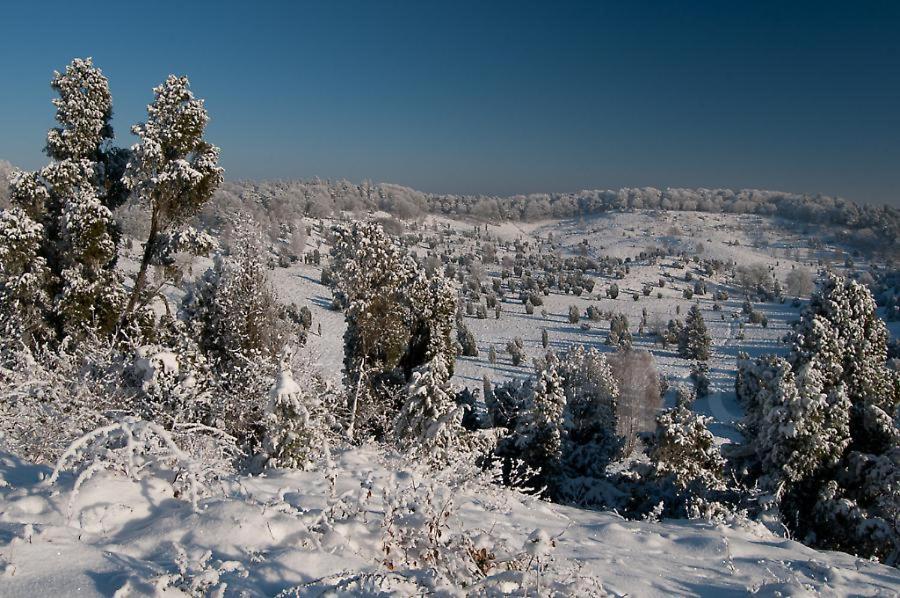 Ferienwohnung Heide View