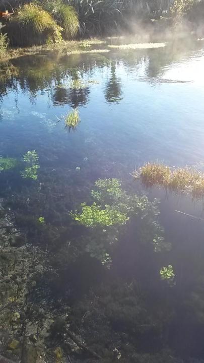 Woolshed Bed & Breakfast view 2
