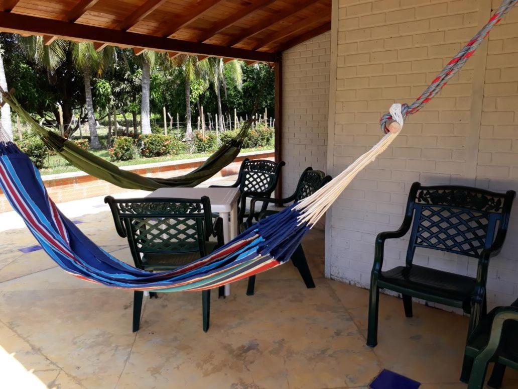 El palmar azul