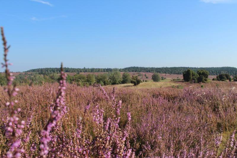Ferienwohnung Heide View